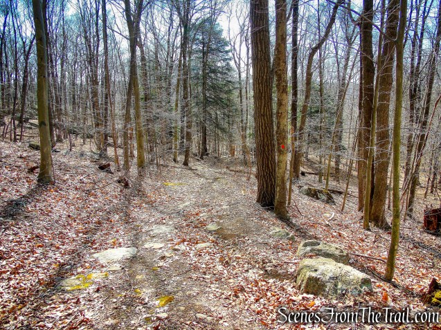 Hawk Rock Trail