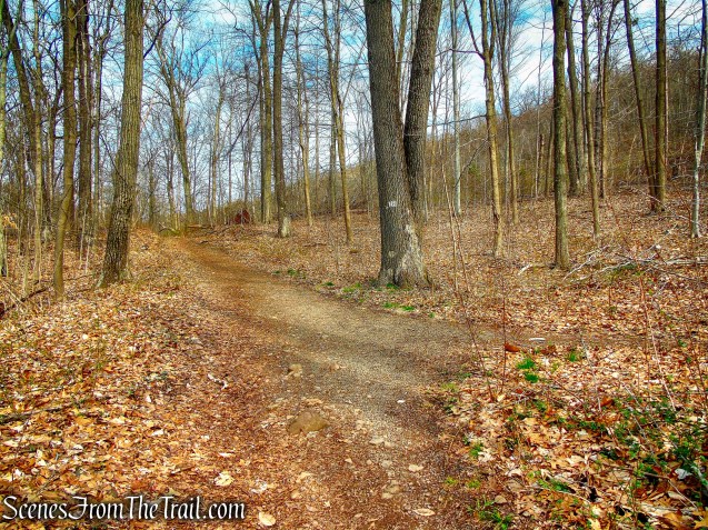 White Trail - Hubbard Park