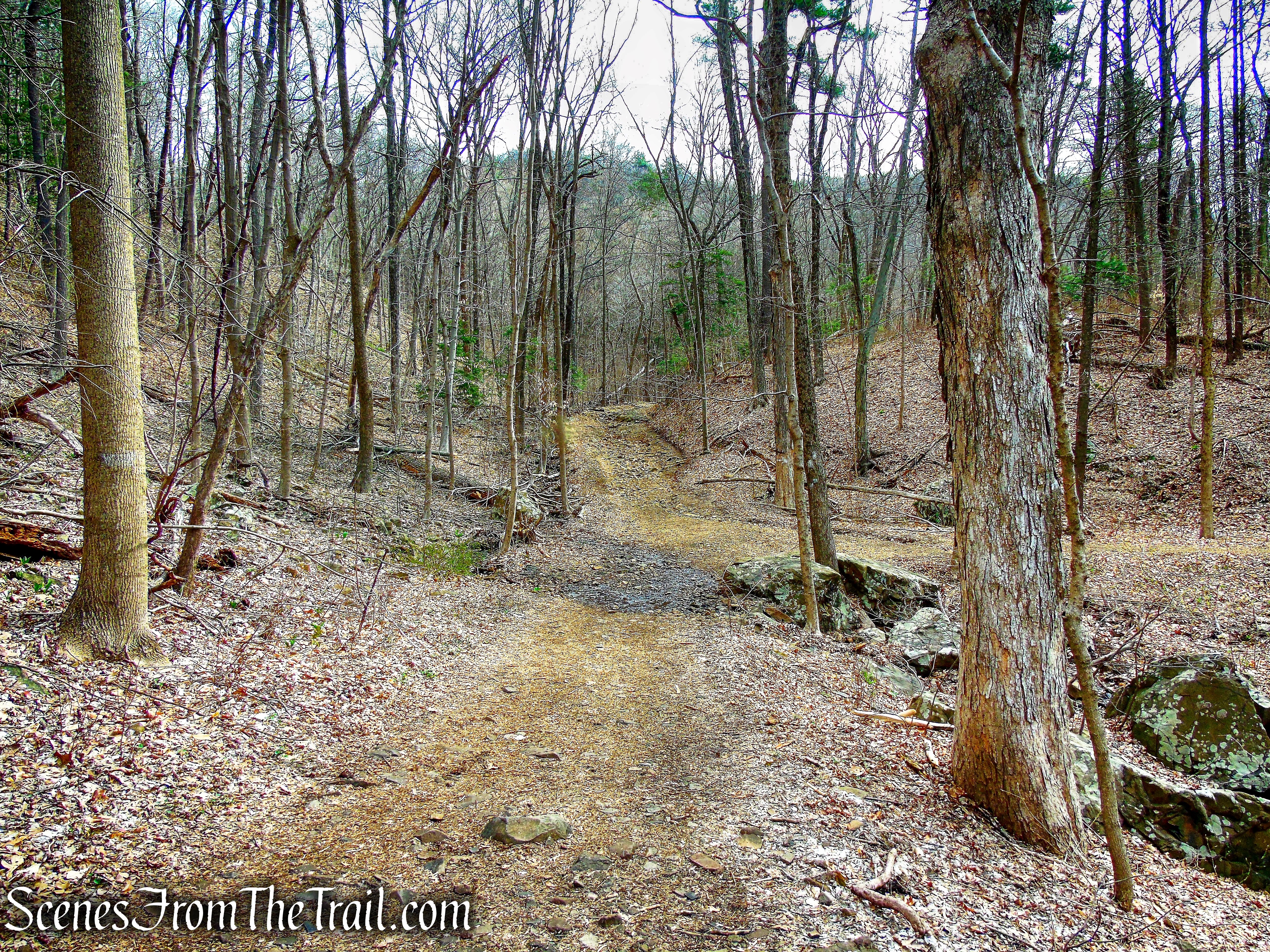 White Trail - Hubbard Park