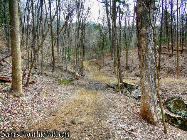 White Trail - Hubbard Park
