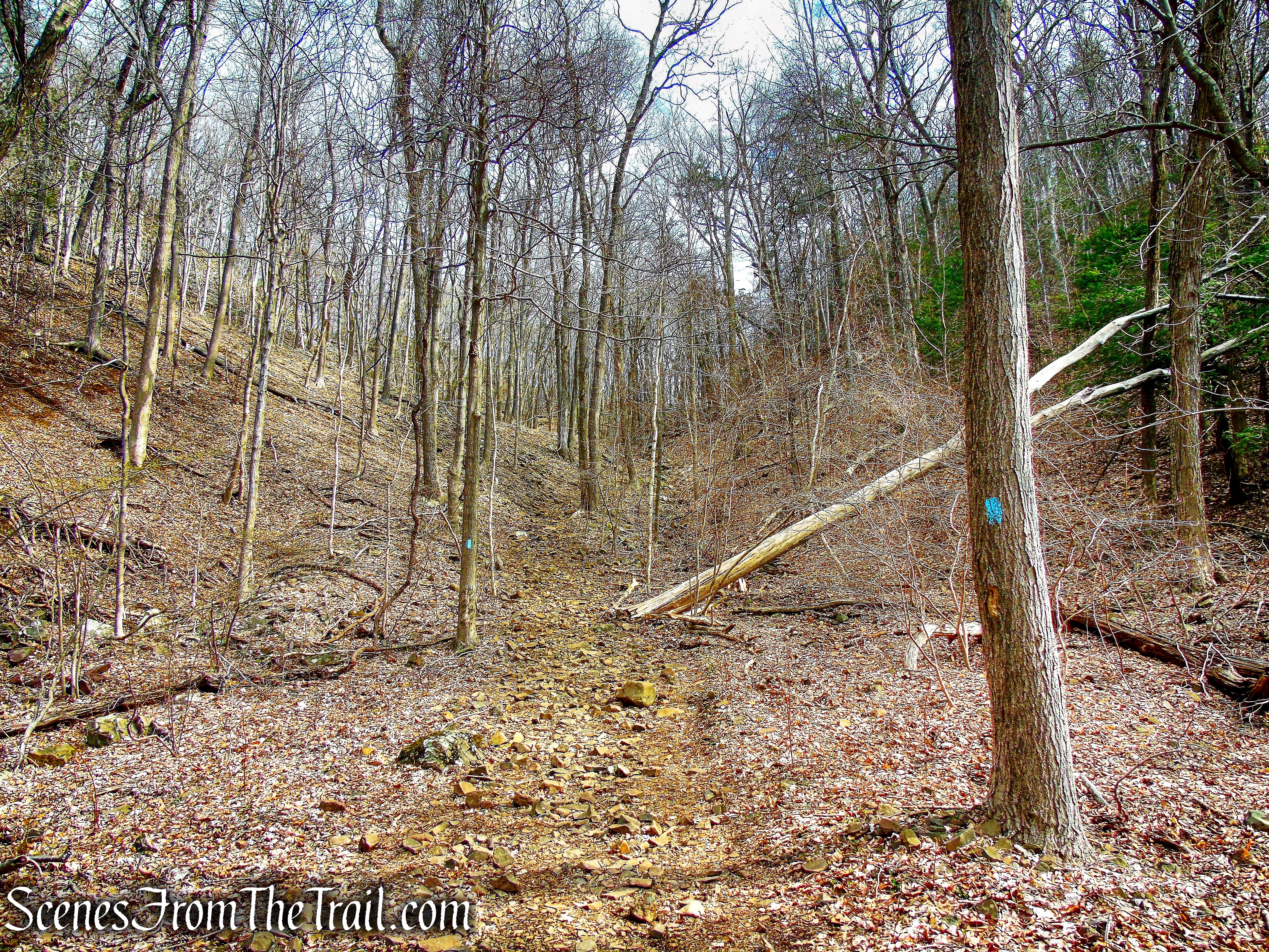 Metacomet Trail - Hubbard Park