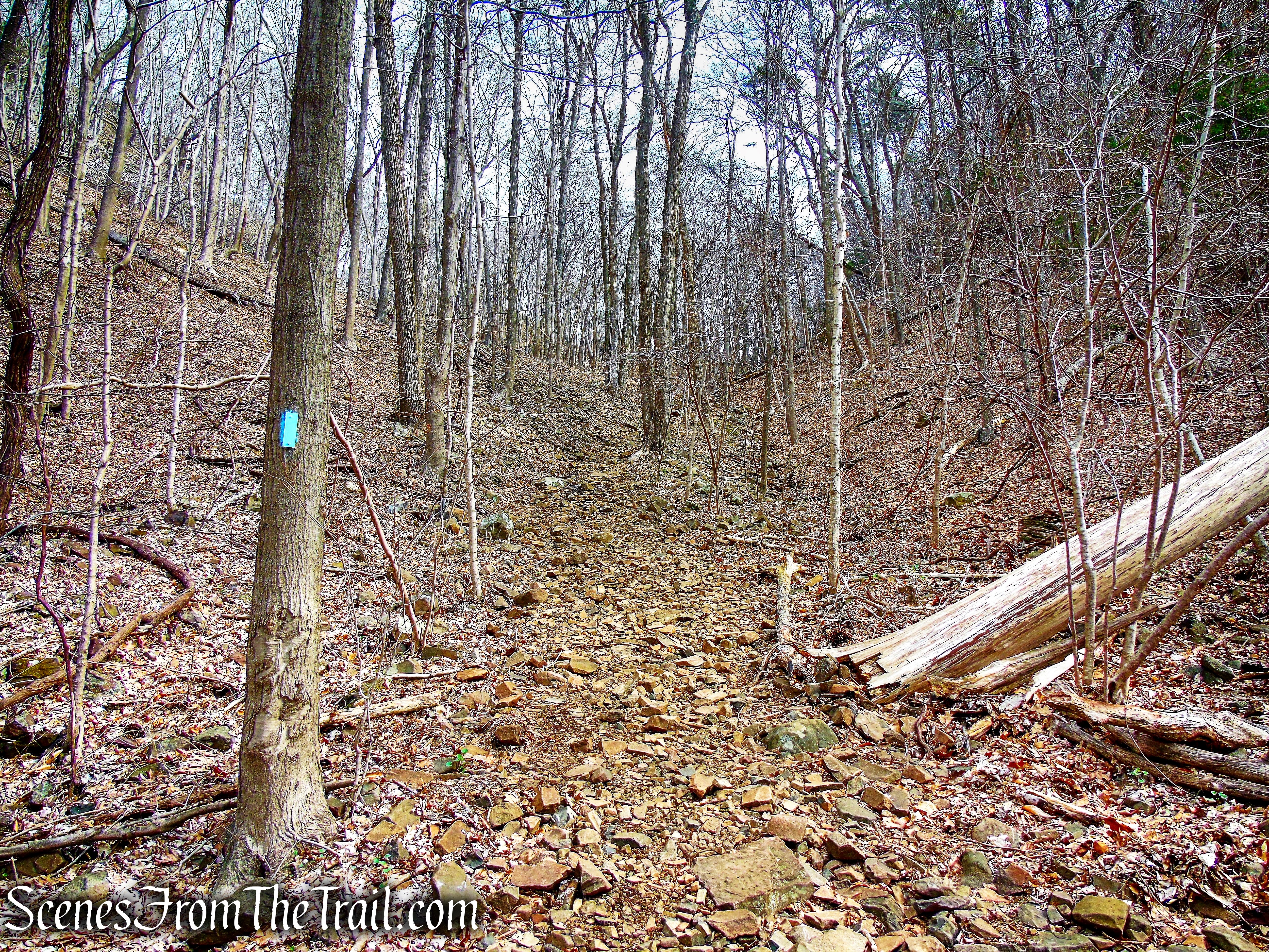 Metacomet Trail - Hubbard Park