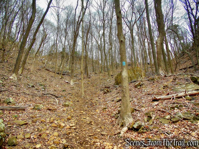 Metacomet Trail - Hubbard Park