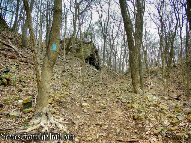 Metacomet Trail - Hubbard Park