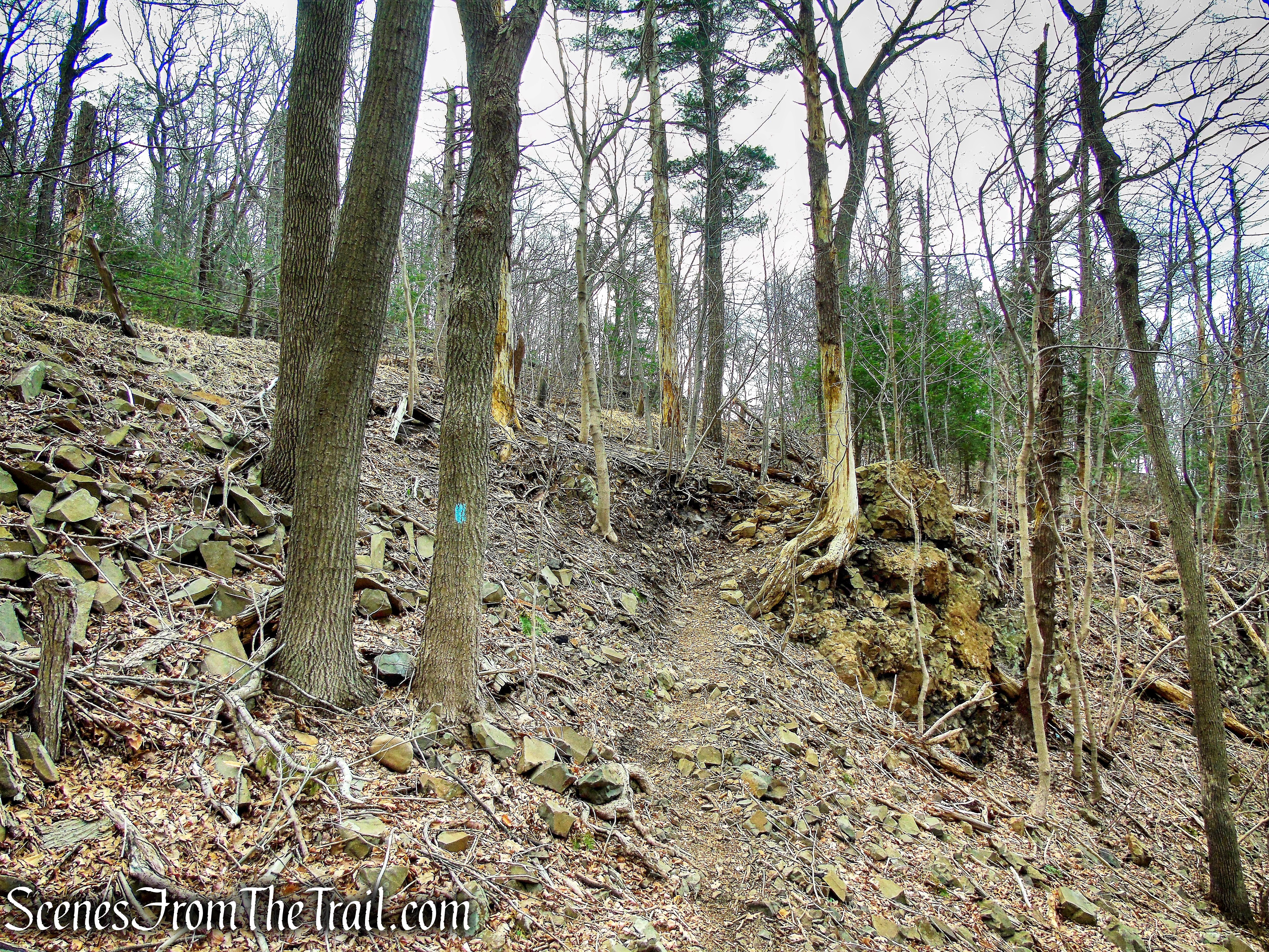 Metacomet Trail - Hubbard Park