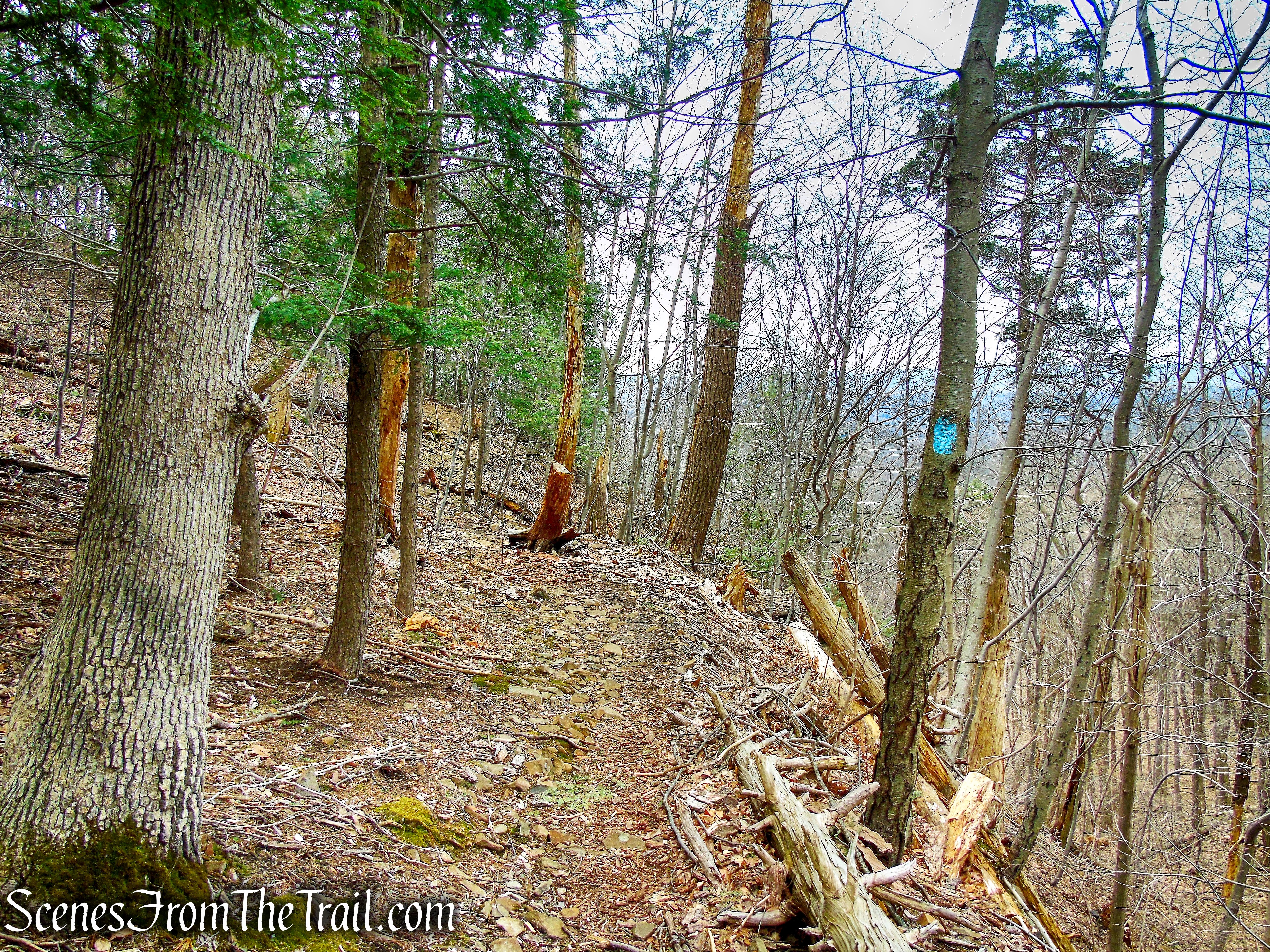 Metacomet Trail - Hubbard Park