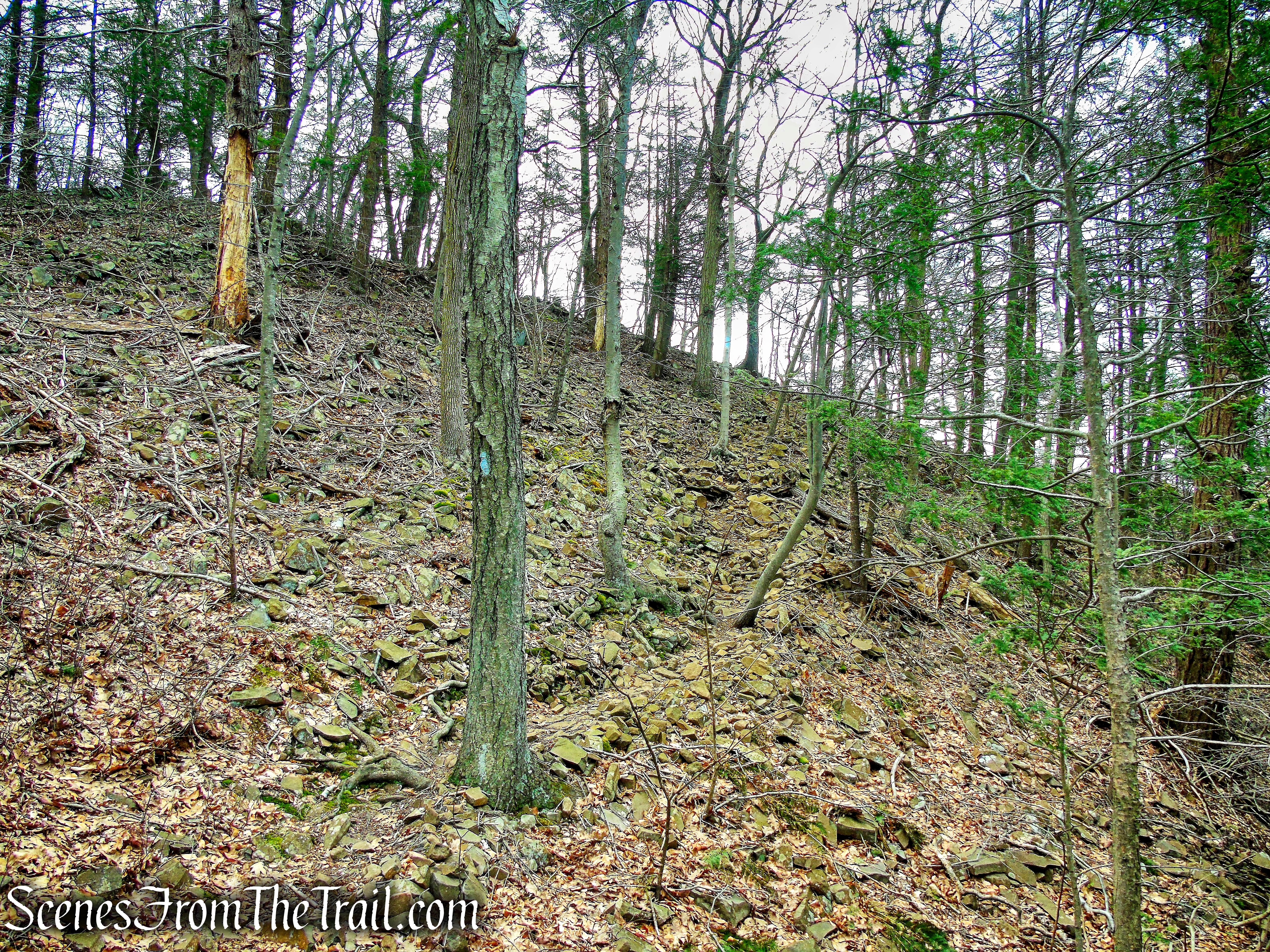 Metacomet Trail - Hubbard Park