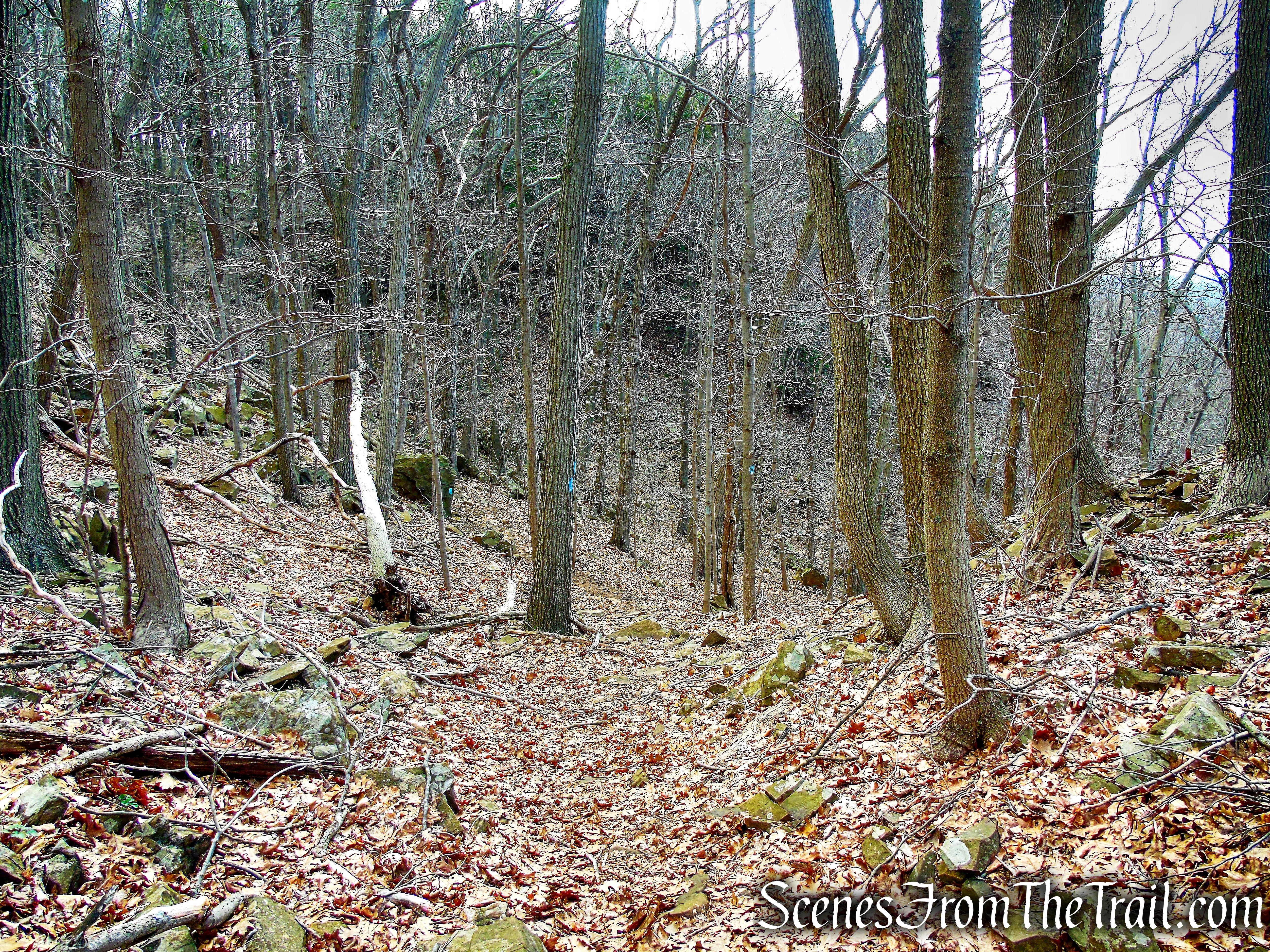 Metacomet Trail - Hubbard Park