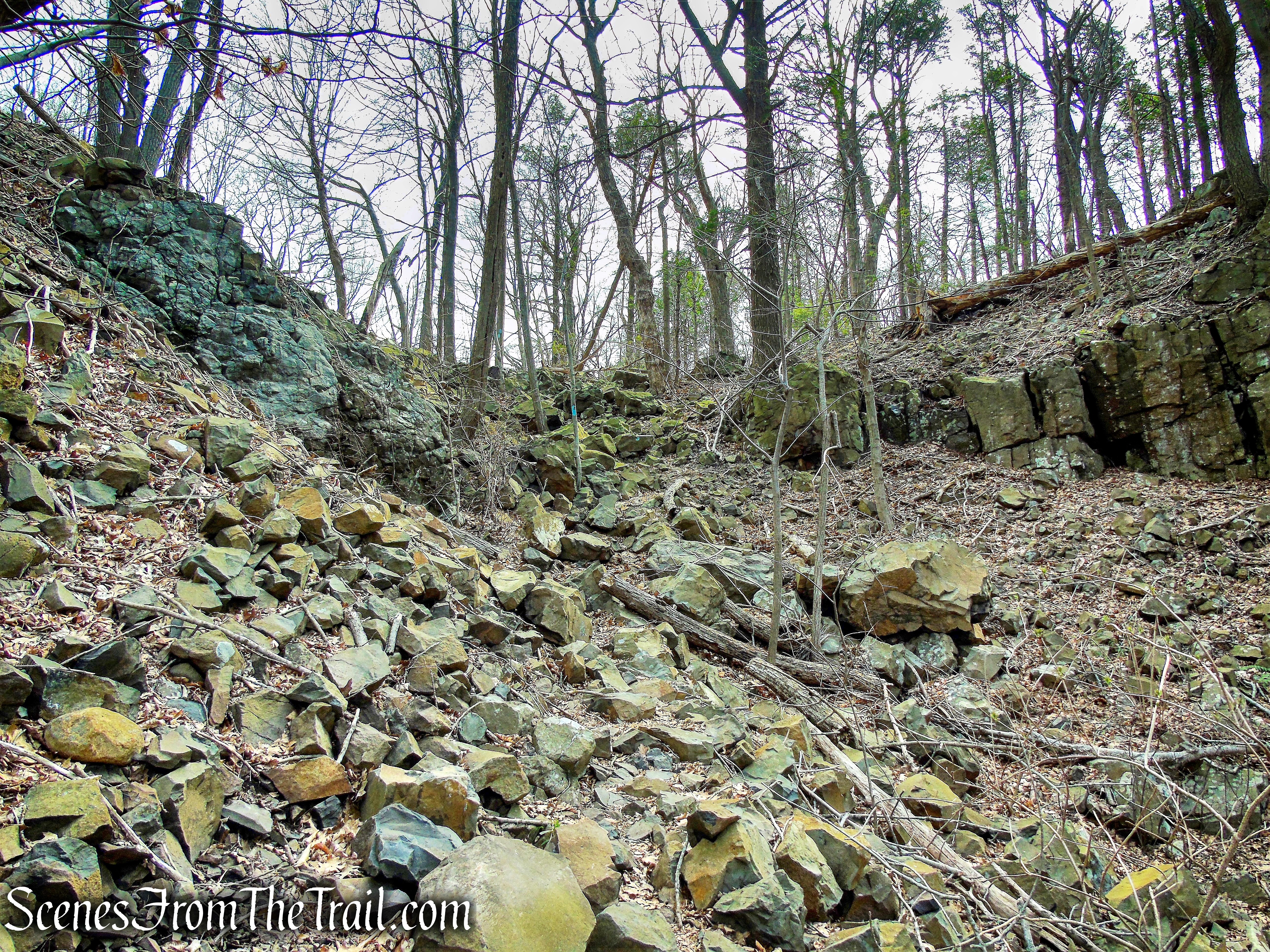 DSC09335 (2)_HDR_marked