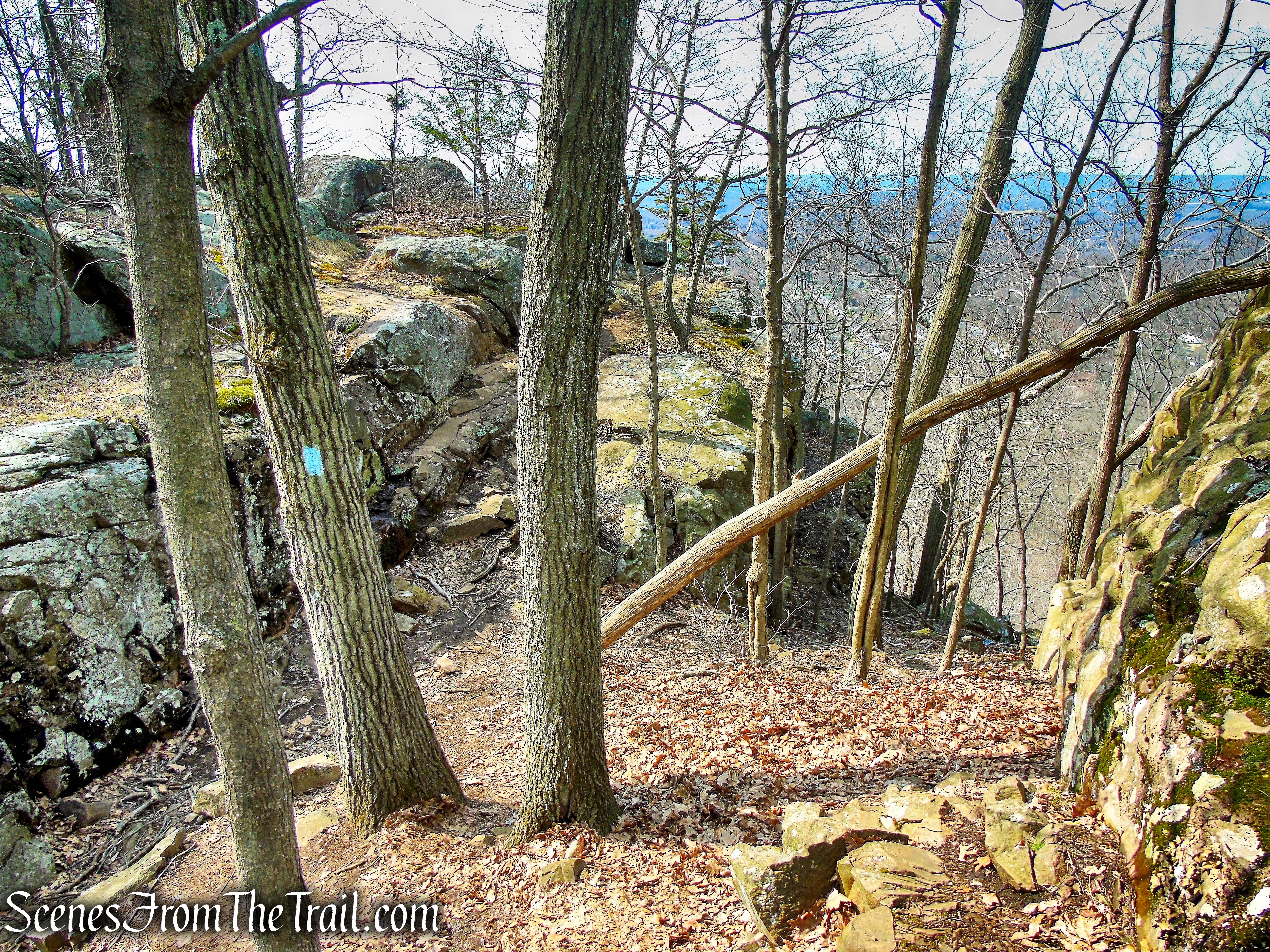 Metacomet Trail - Hubbard Park
