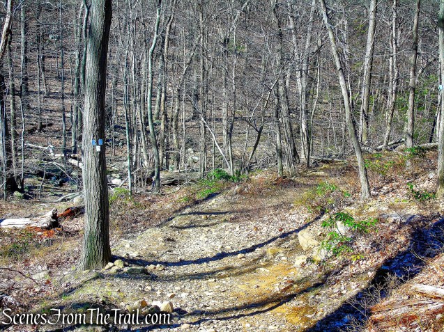 terminus of Bobcat Trail