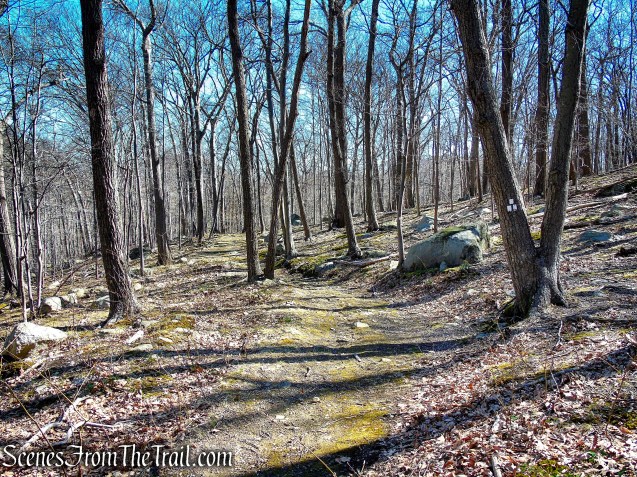 start of Stillman Spring Trail