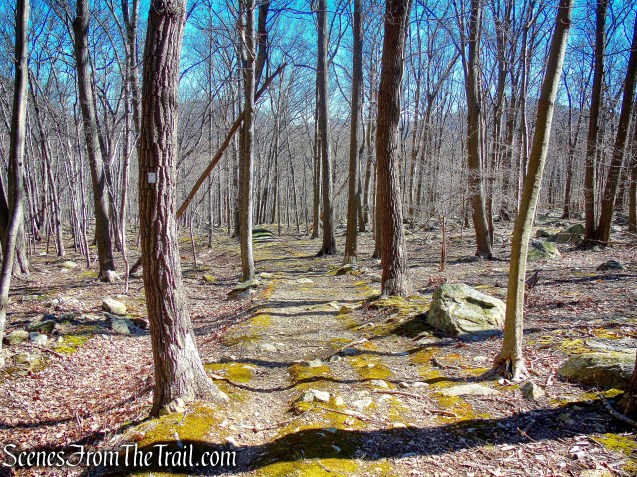 Stillman Spring Trail