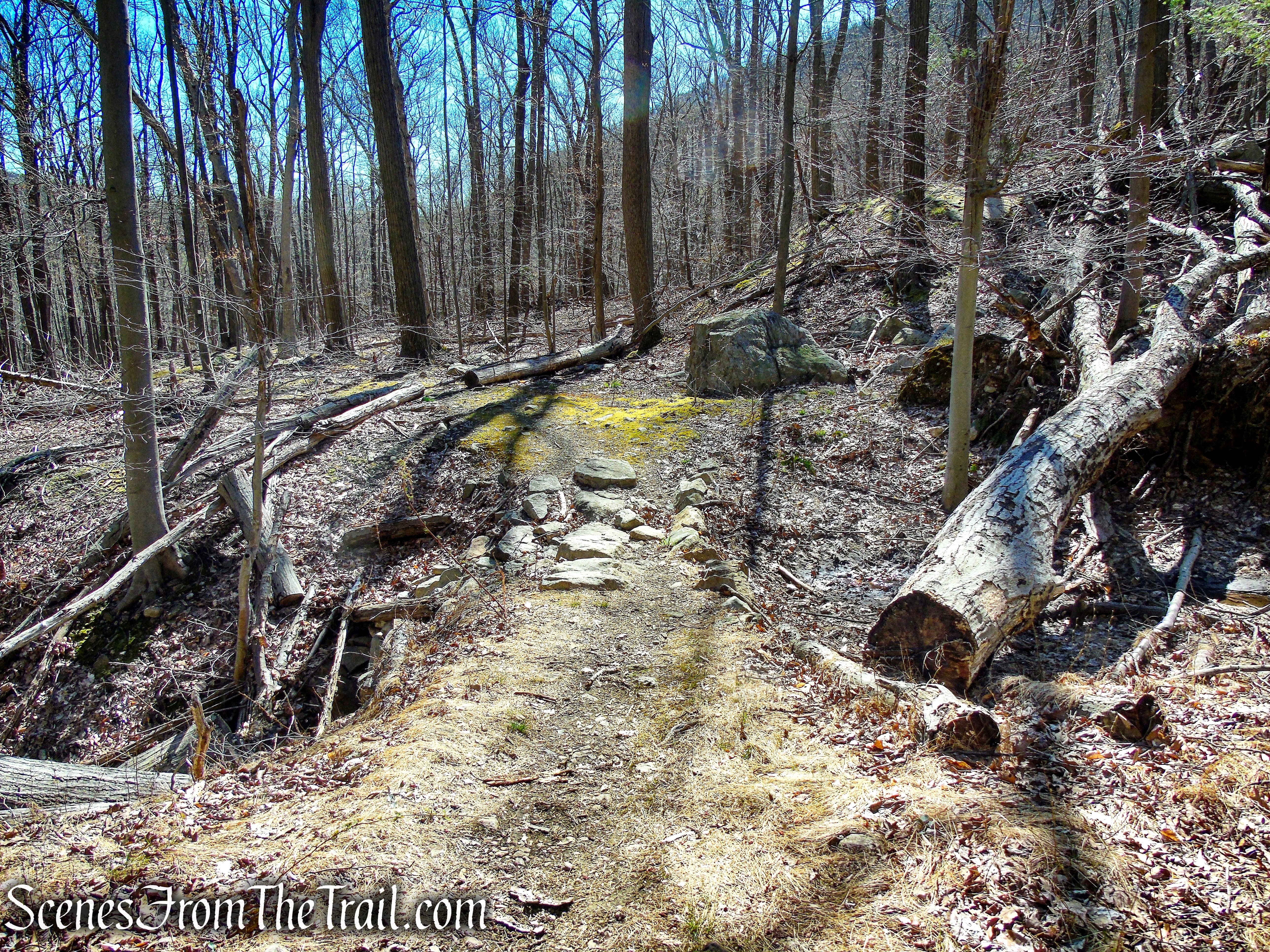 Stillman Spring Trail