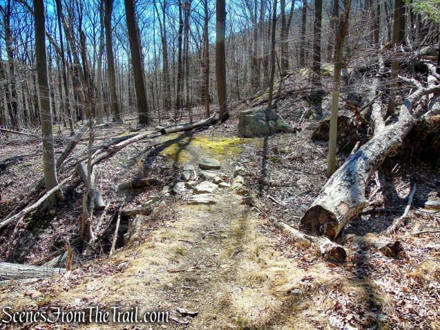 Stillman Spring Trail