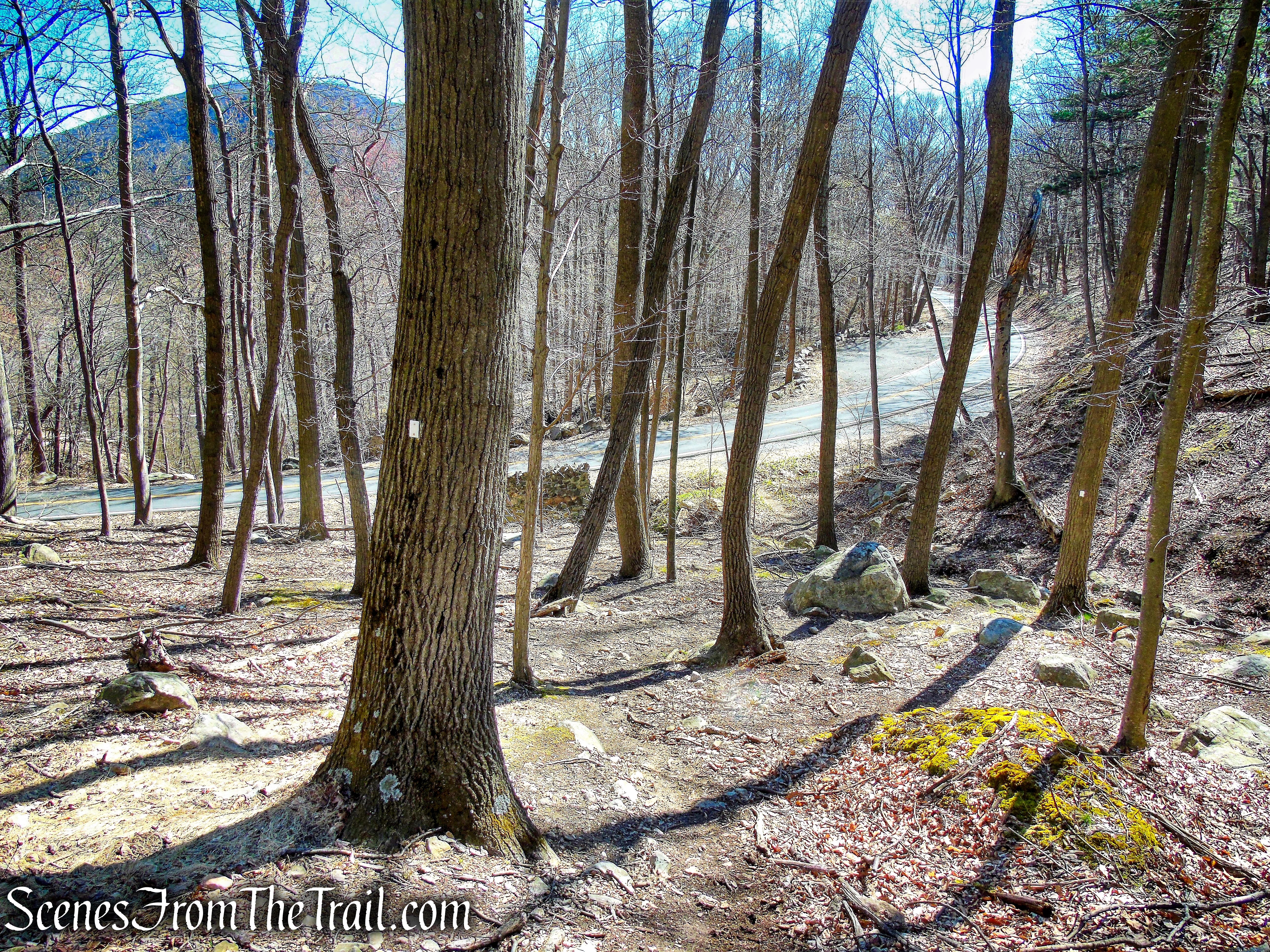 Stillman Spring Trail