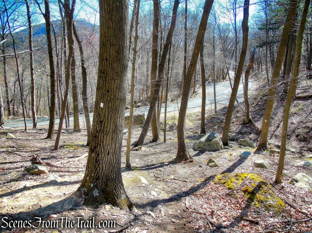 Stillman Spring Trail