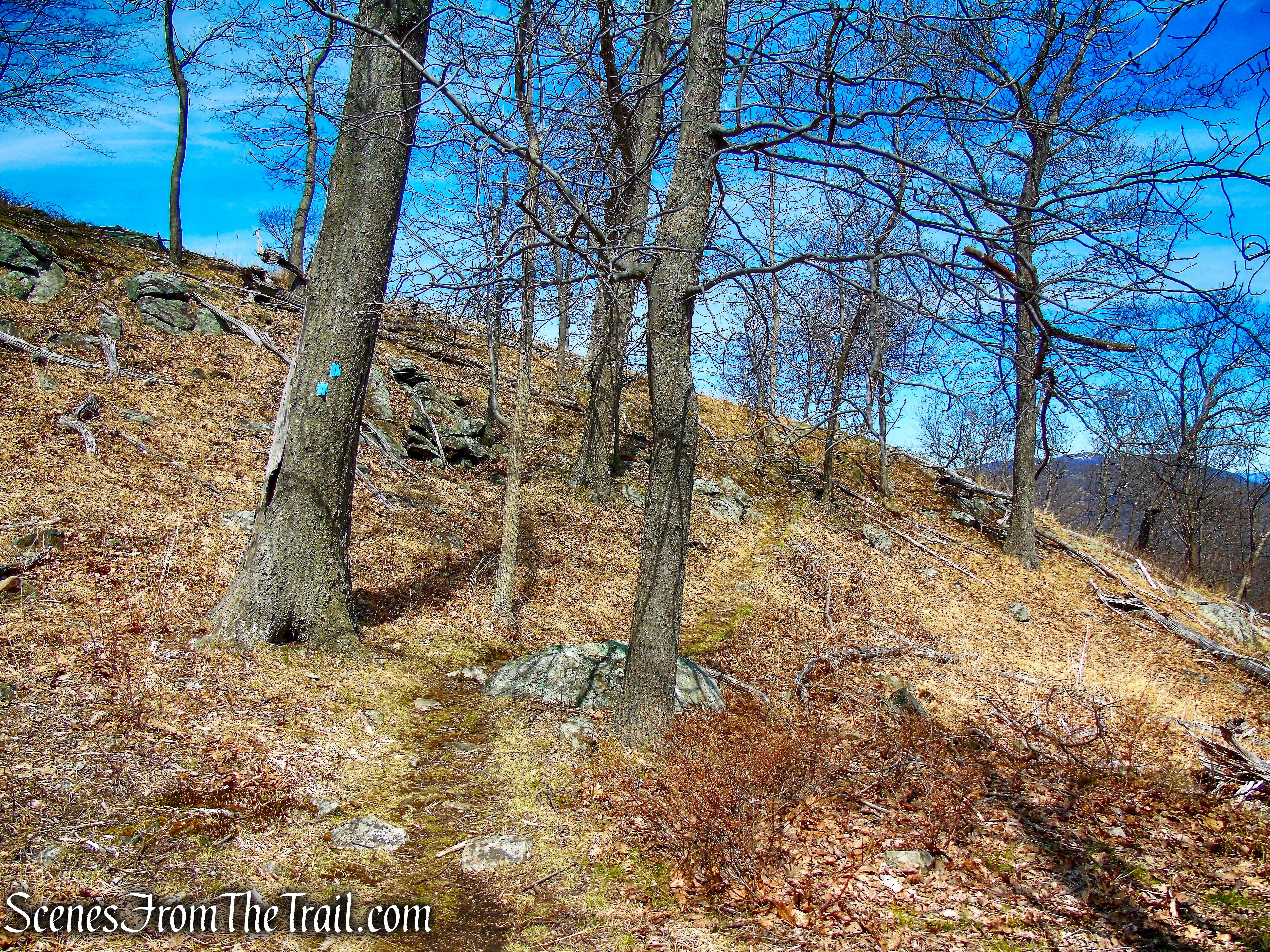 Howell Trail approaching North Point