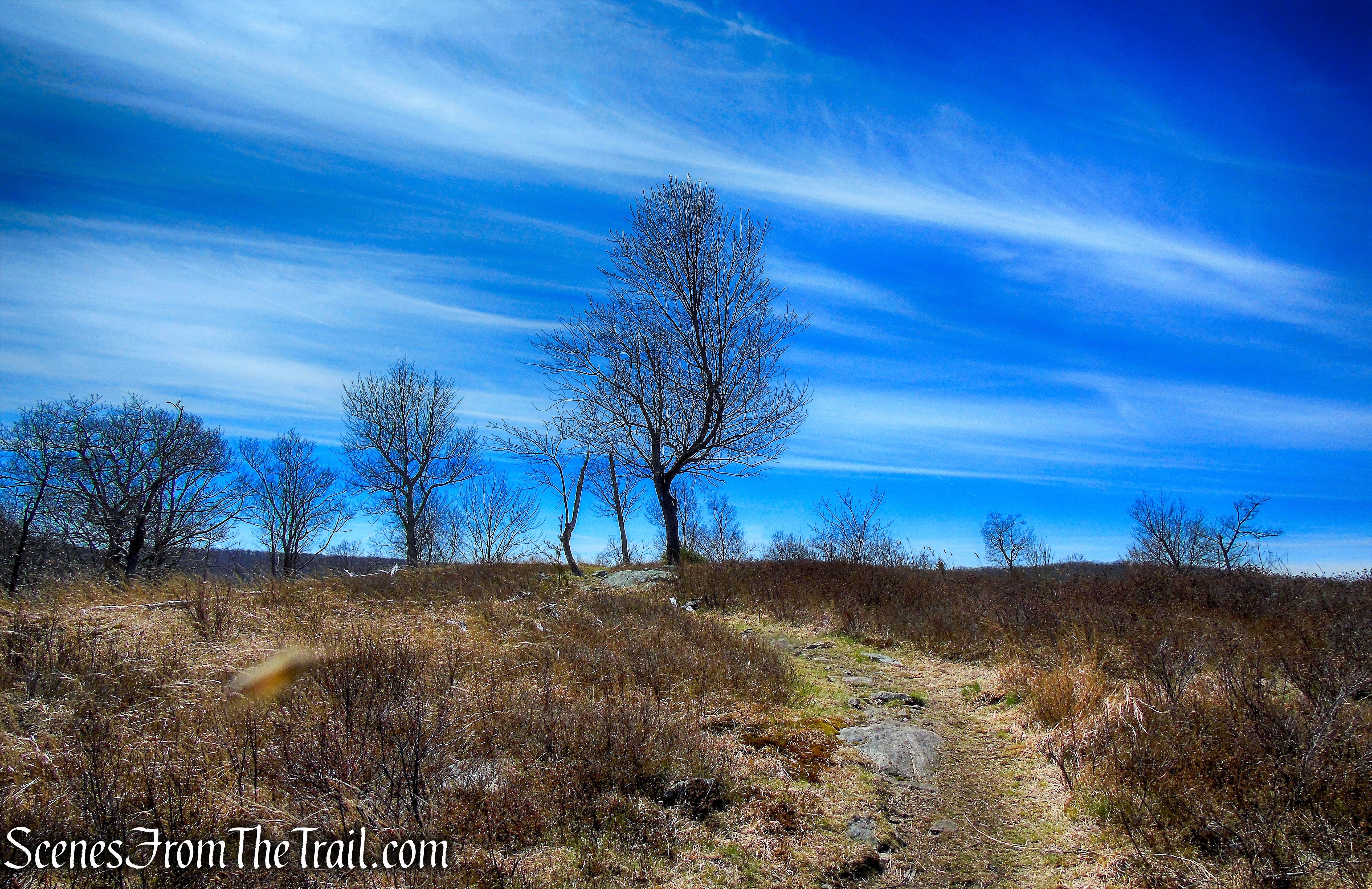 North Point - Howell Trail