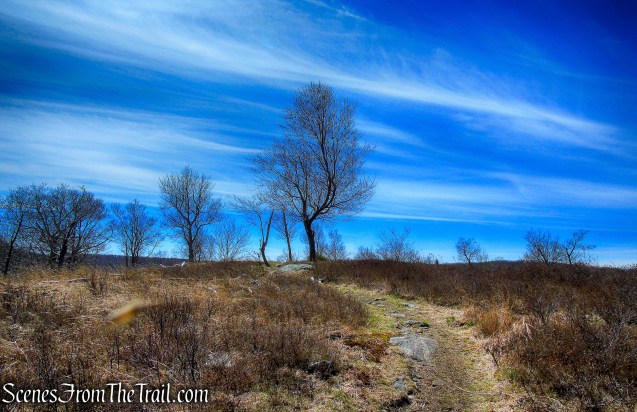 North Point - Howell Trail