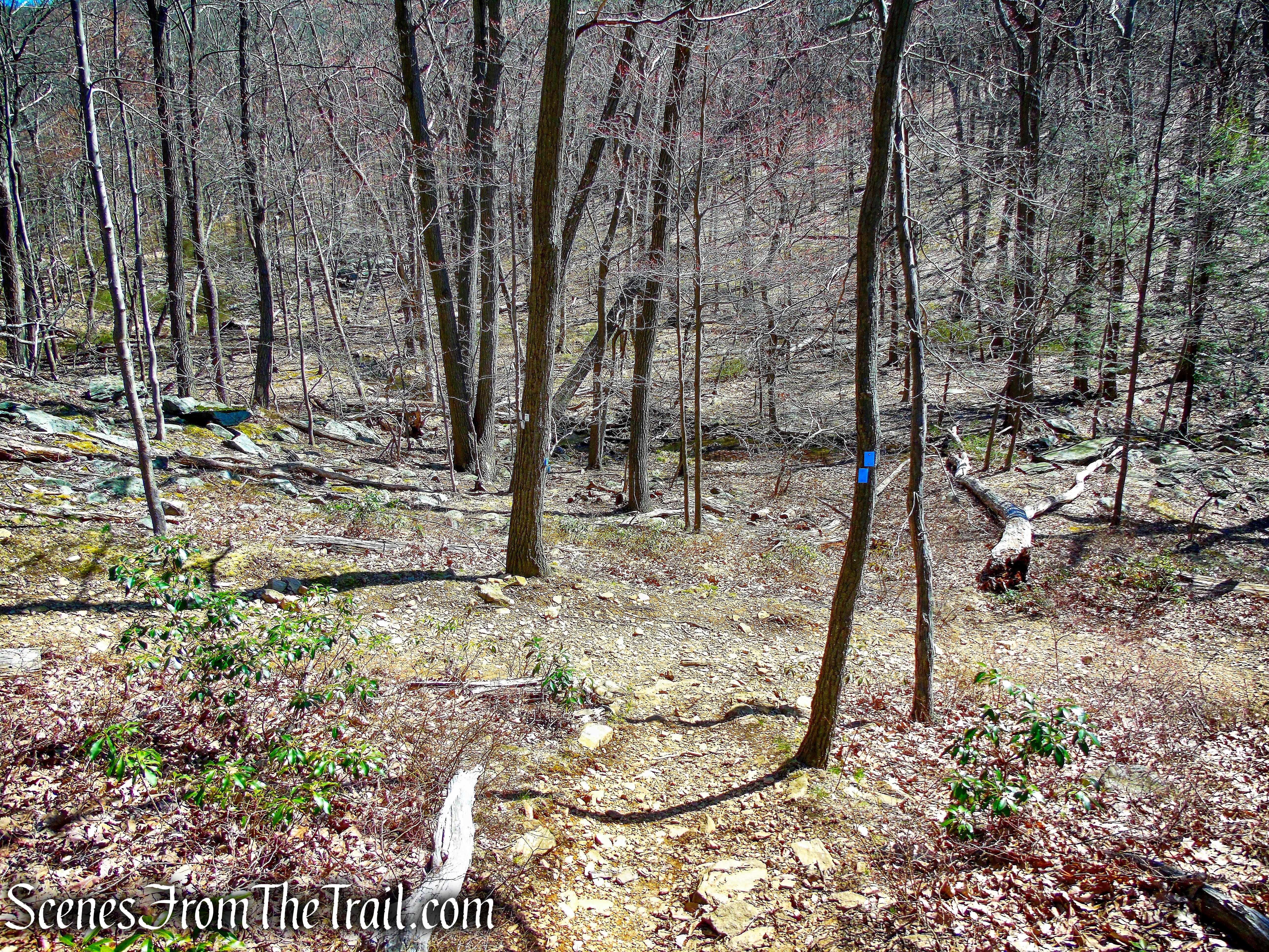 turn left on Bobcat Trail
