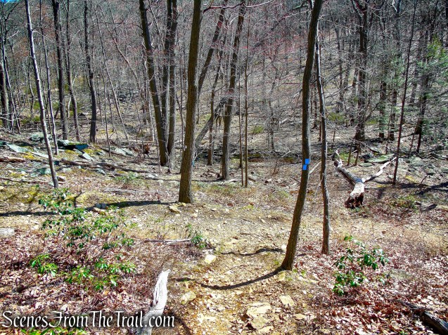 turn left on Bobcat Trail