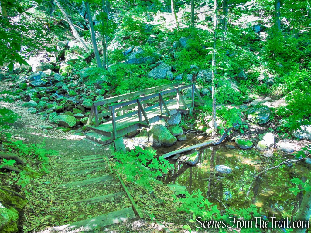 White Trail - Squantz Pond State Park