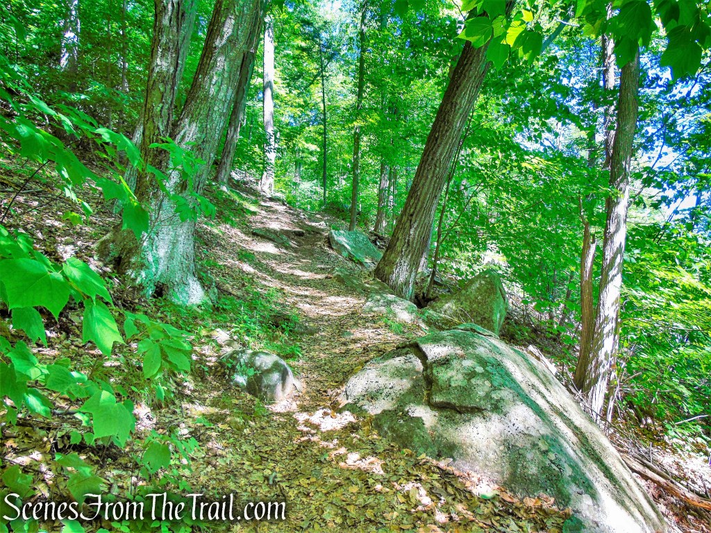 White Trail - Squantz Pond State Park