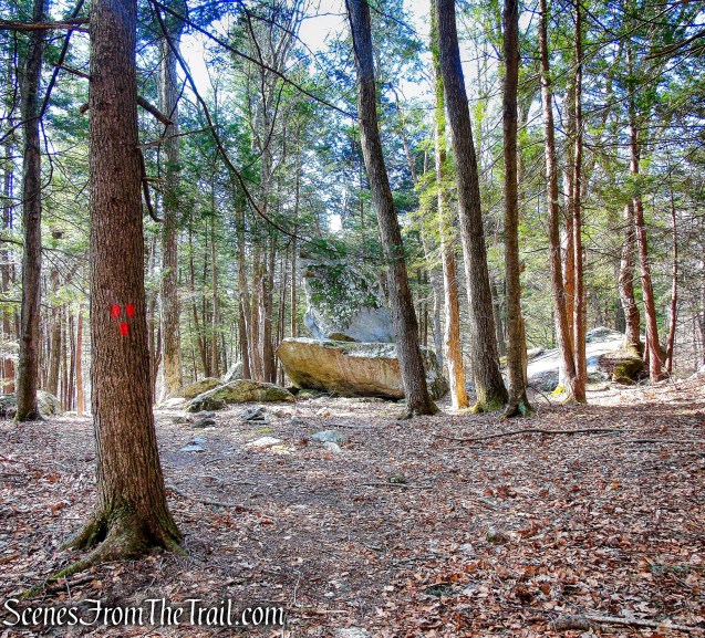 terminus of Hawk Rock Trail