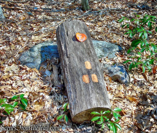 start of Mead Farm Trail