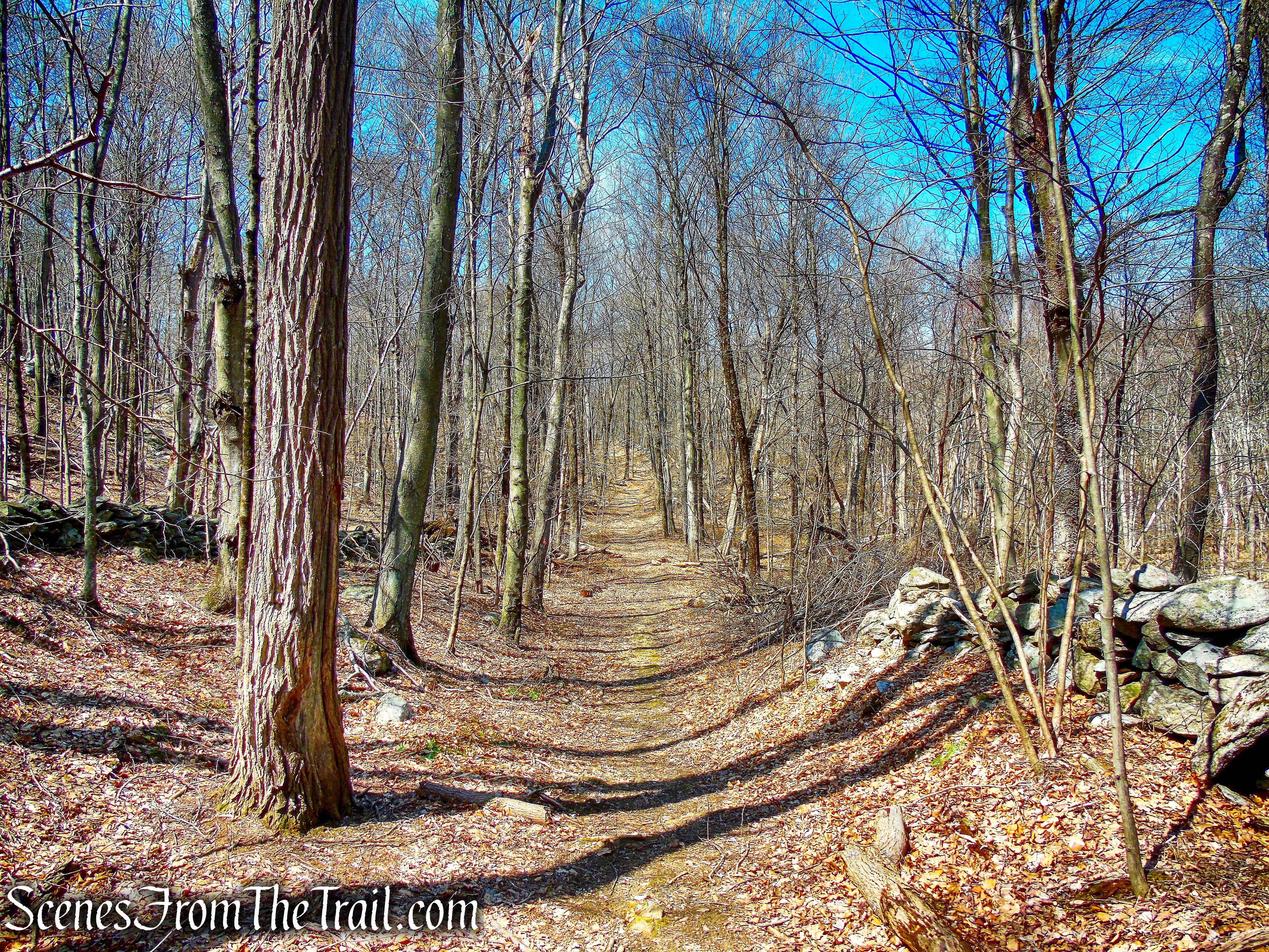 Mead Farm Trail