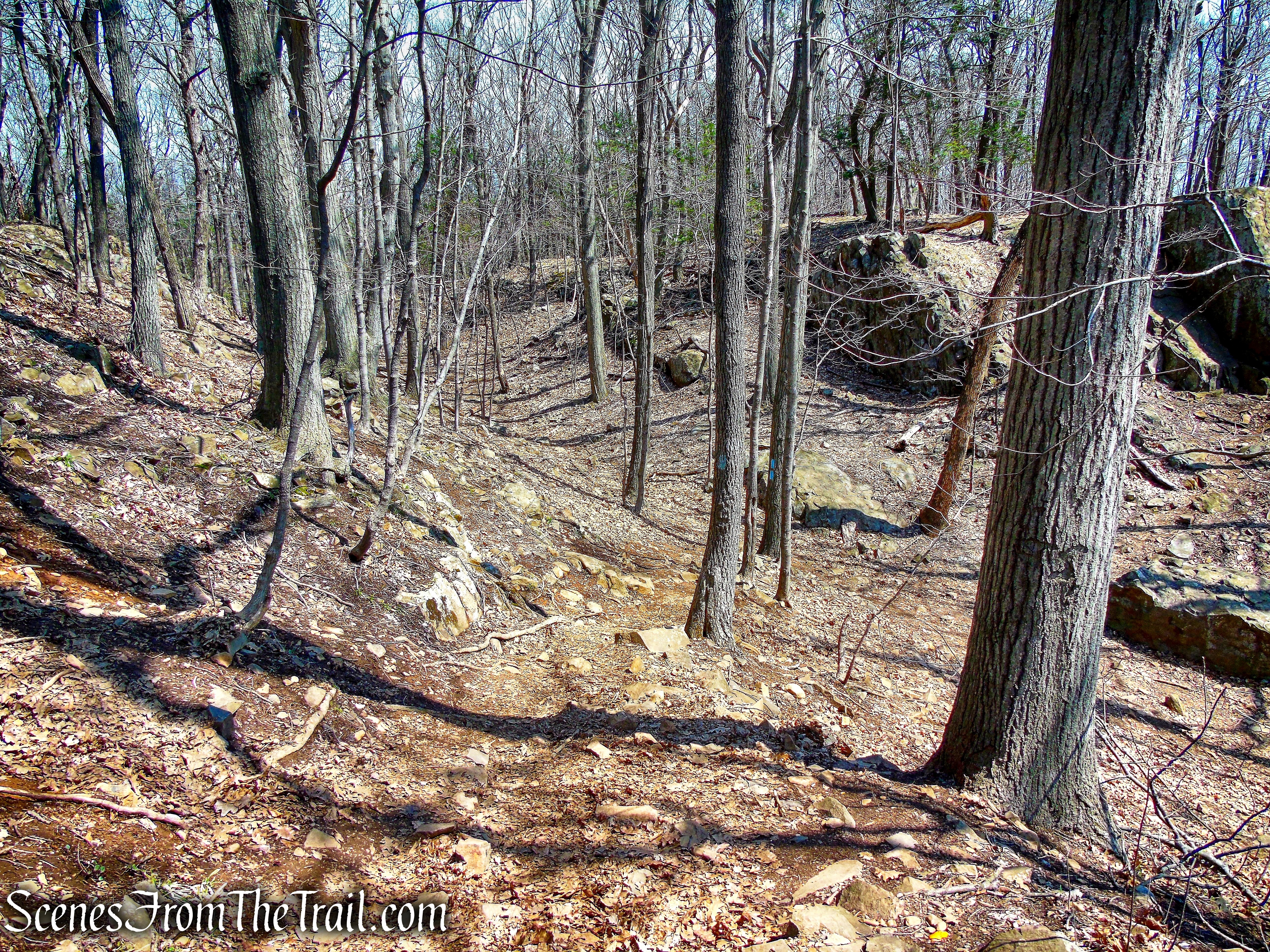 Metacomet Trail