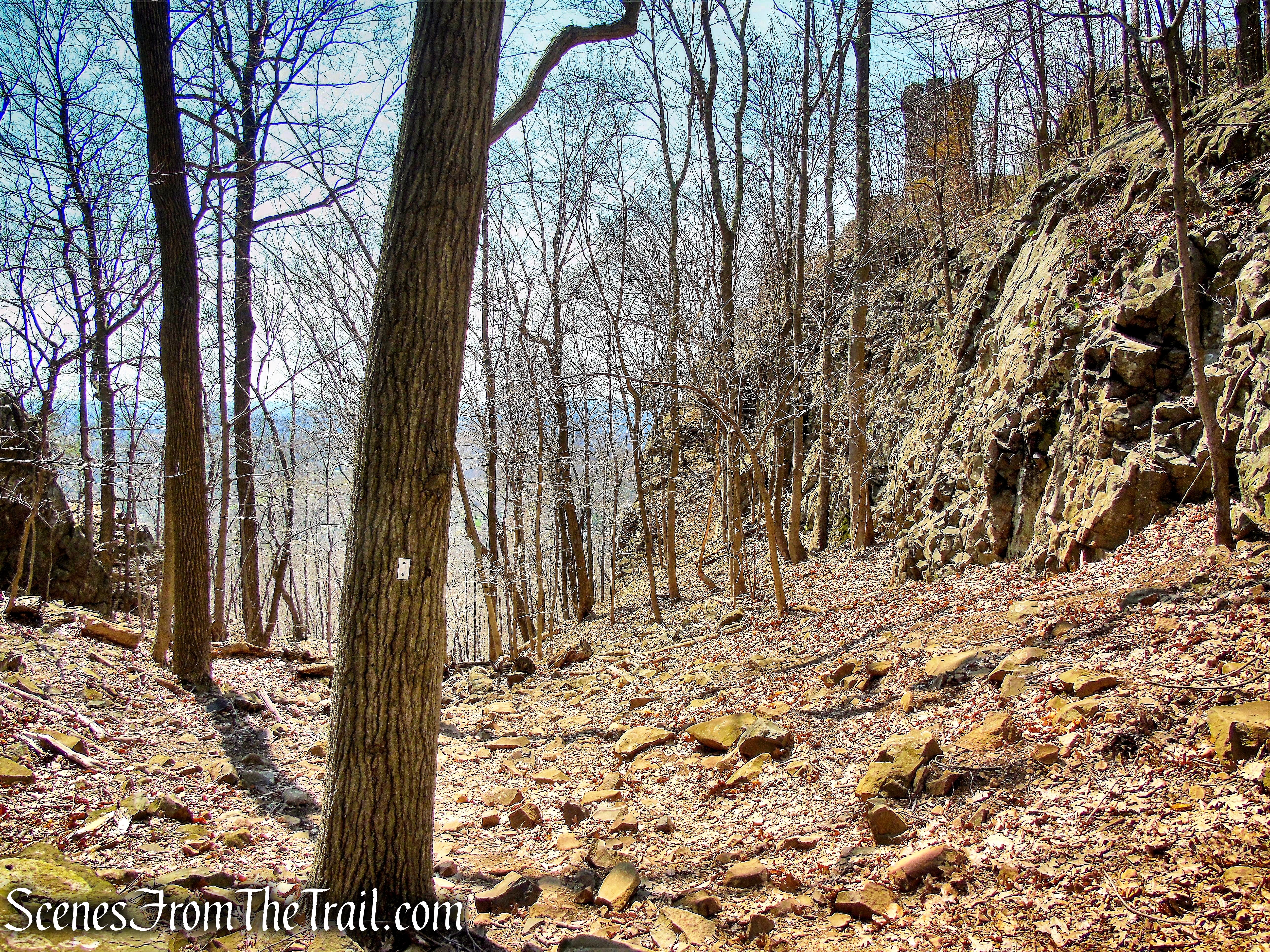 turn left on white-blazed trail