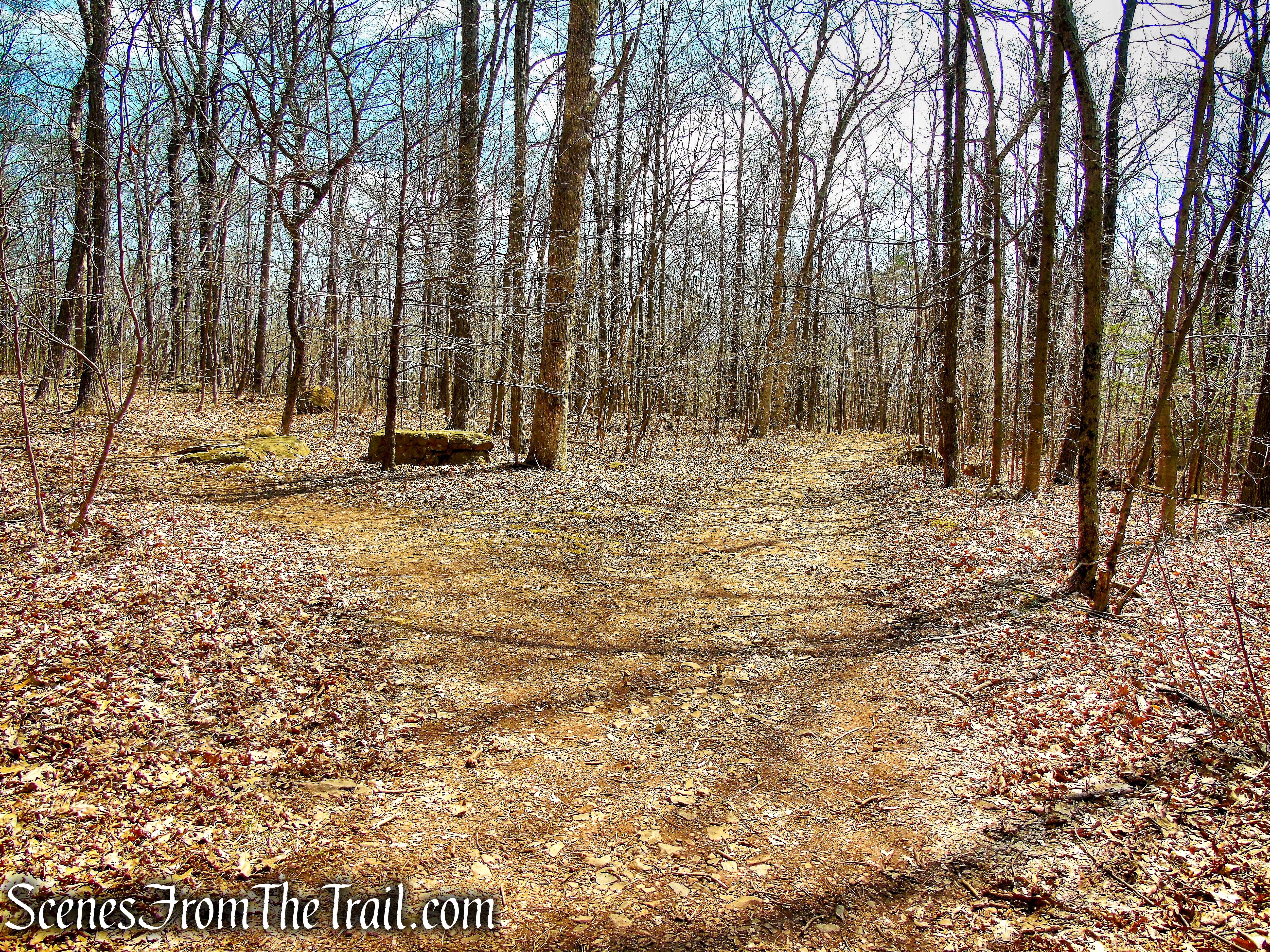 take the left fork of the white-blazed trail