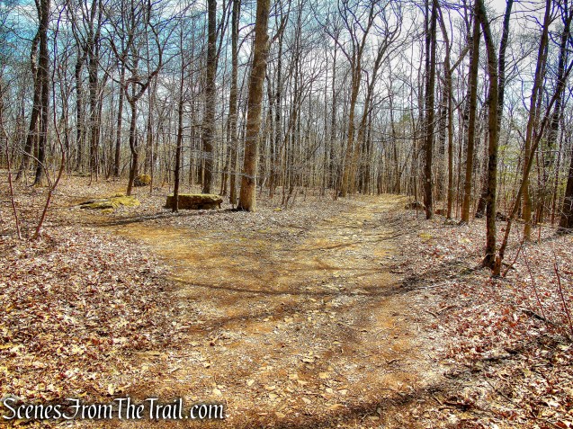 take the left fork of the white-blazed trail