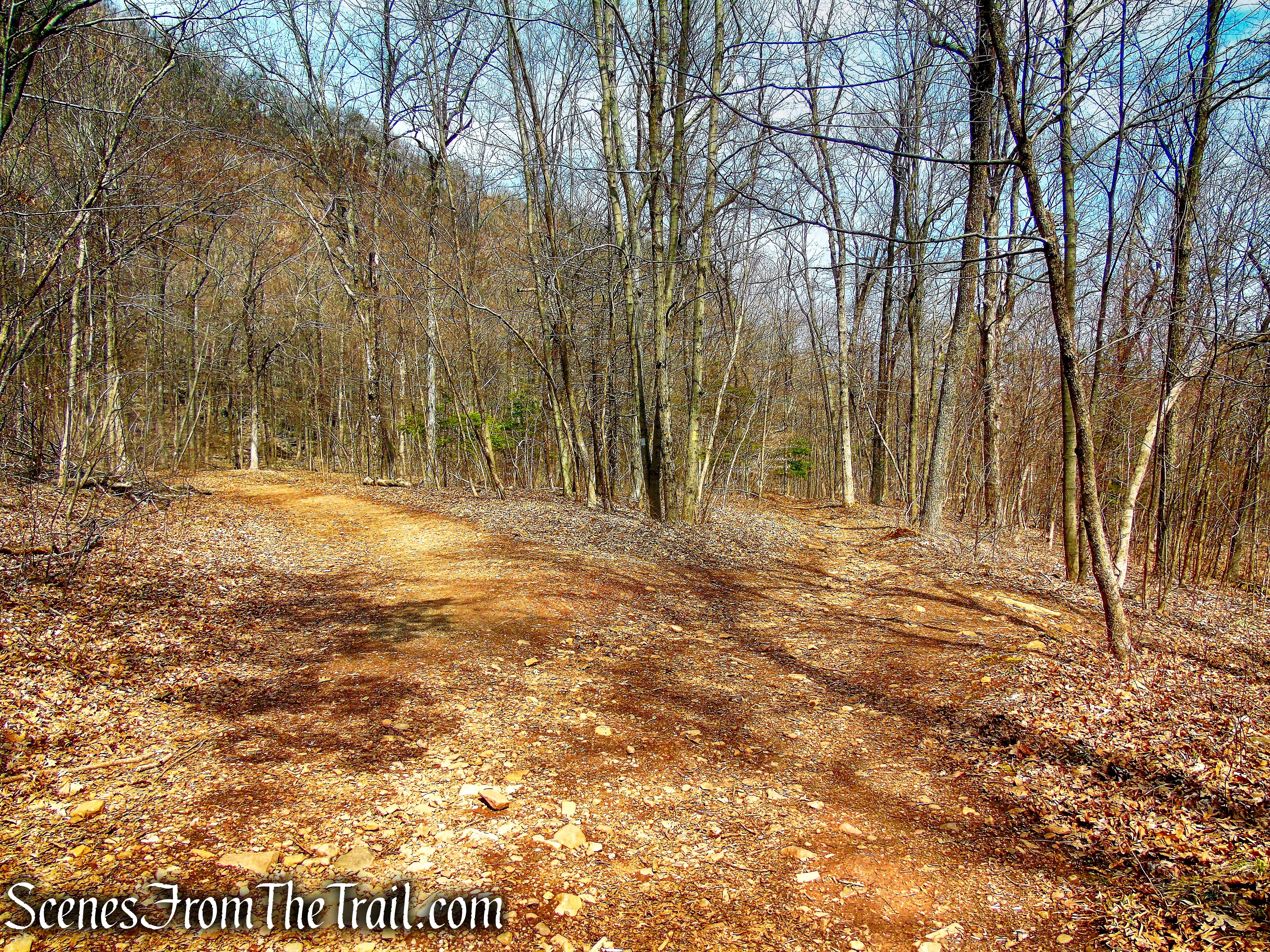 take the left fork to remain on the white-blazed trail