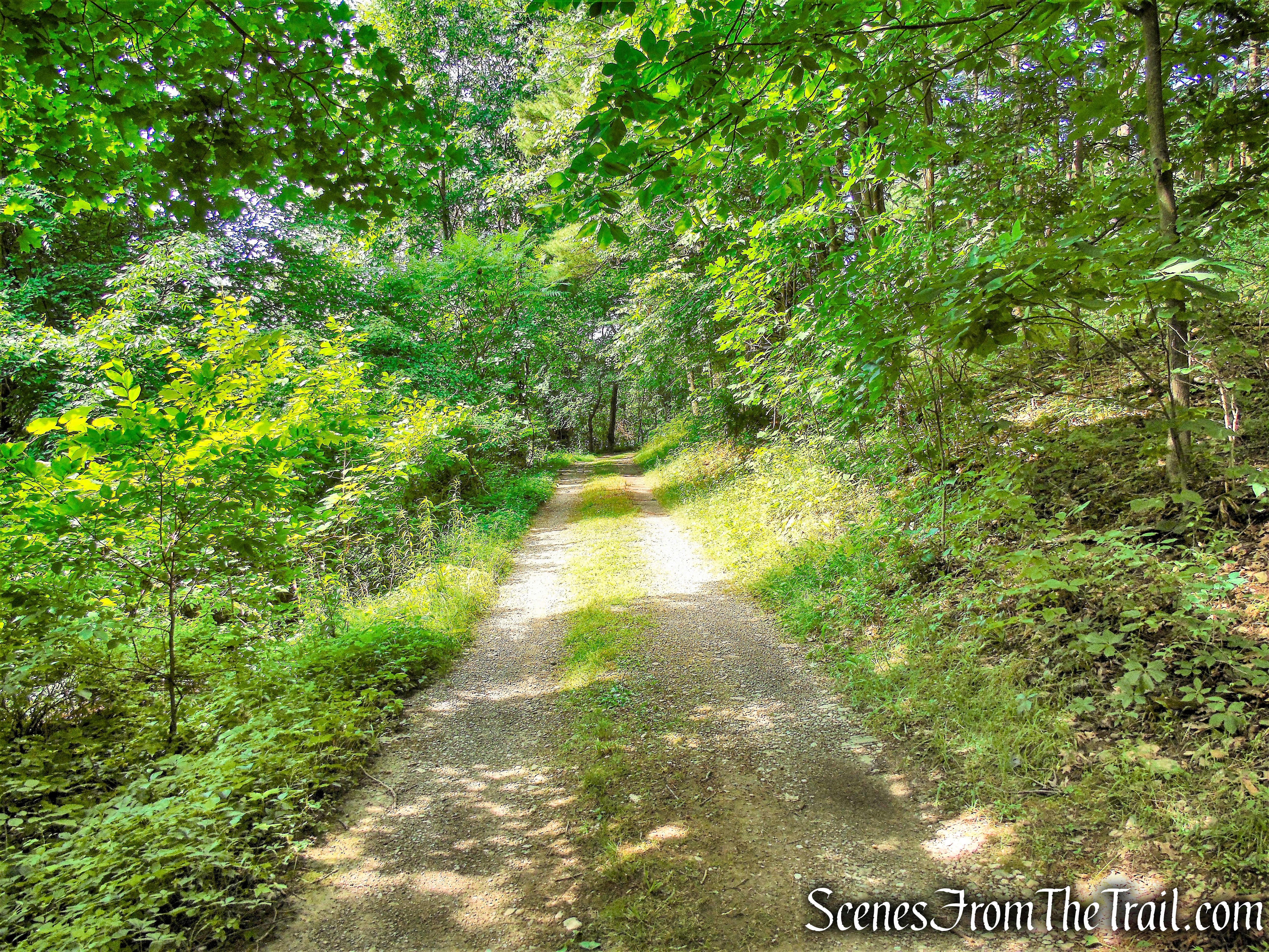 Lakeview Trail - Lake Taghkanic State Park