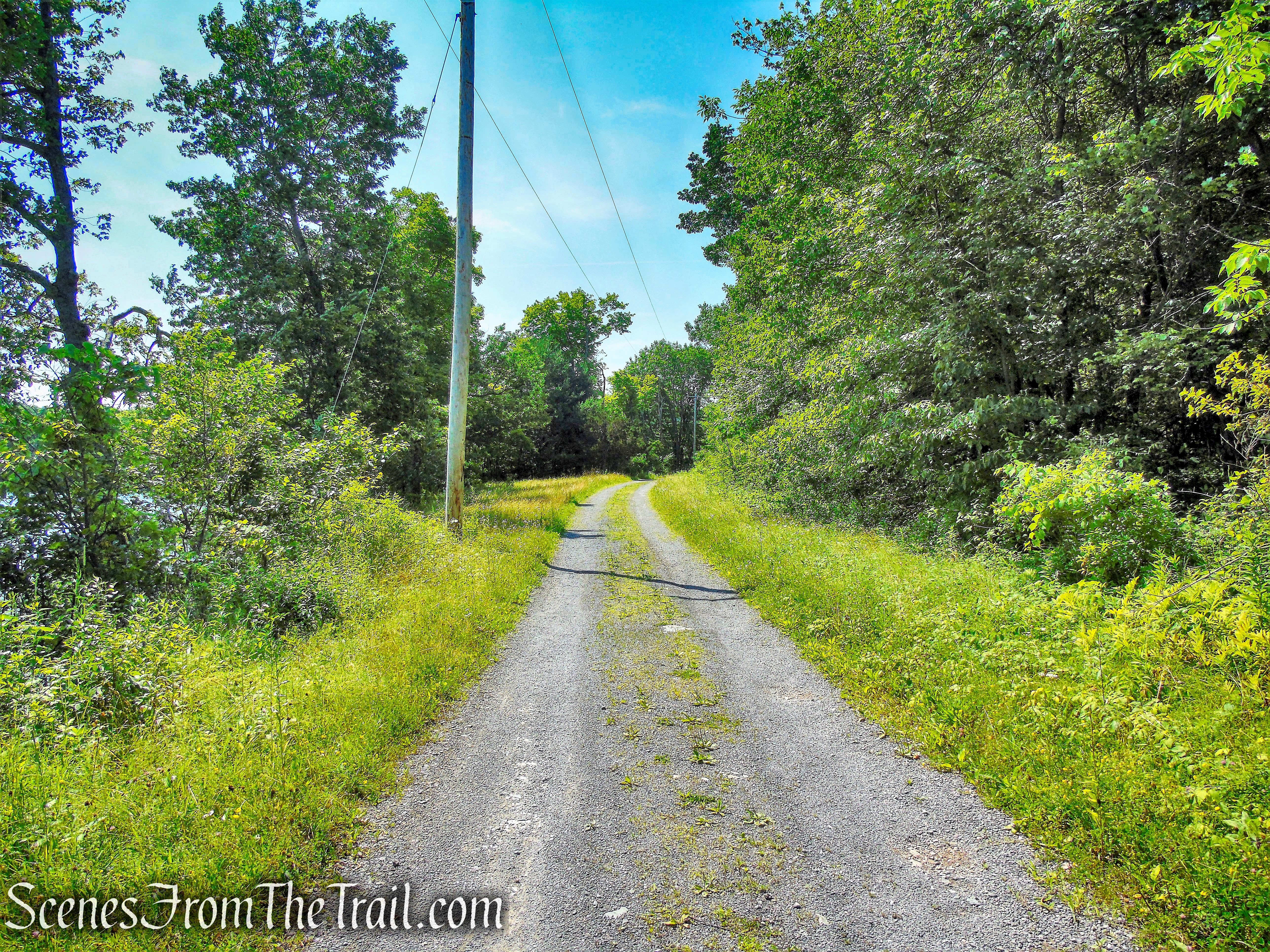 Lakeview Trail - Lake Taghkanic State Park