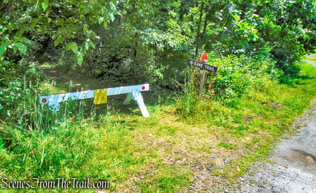 Lakeview Trail - Lake Taghkanic State Park