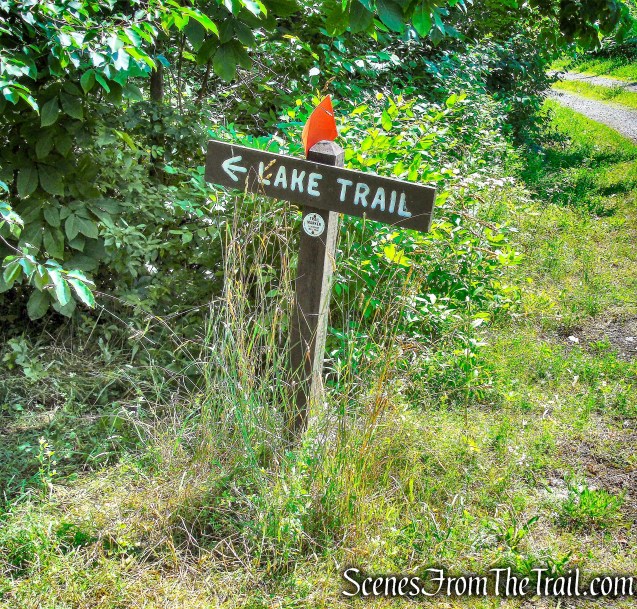 Lakeview Trail - Lake Taghkanic State Park