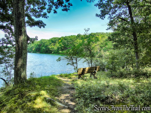Lakeview Trail - Lake Taghkanic State Park