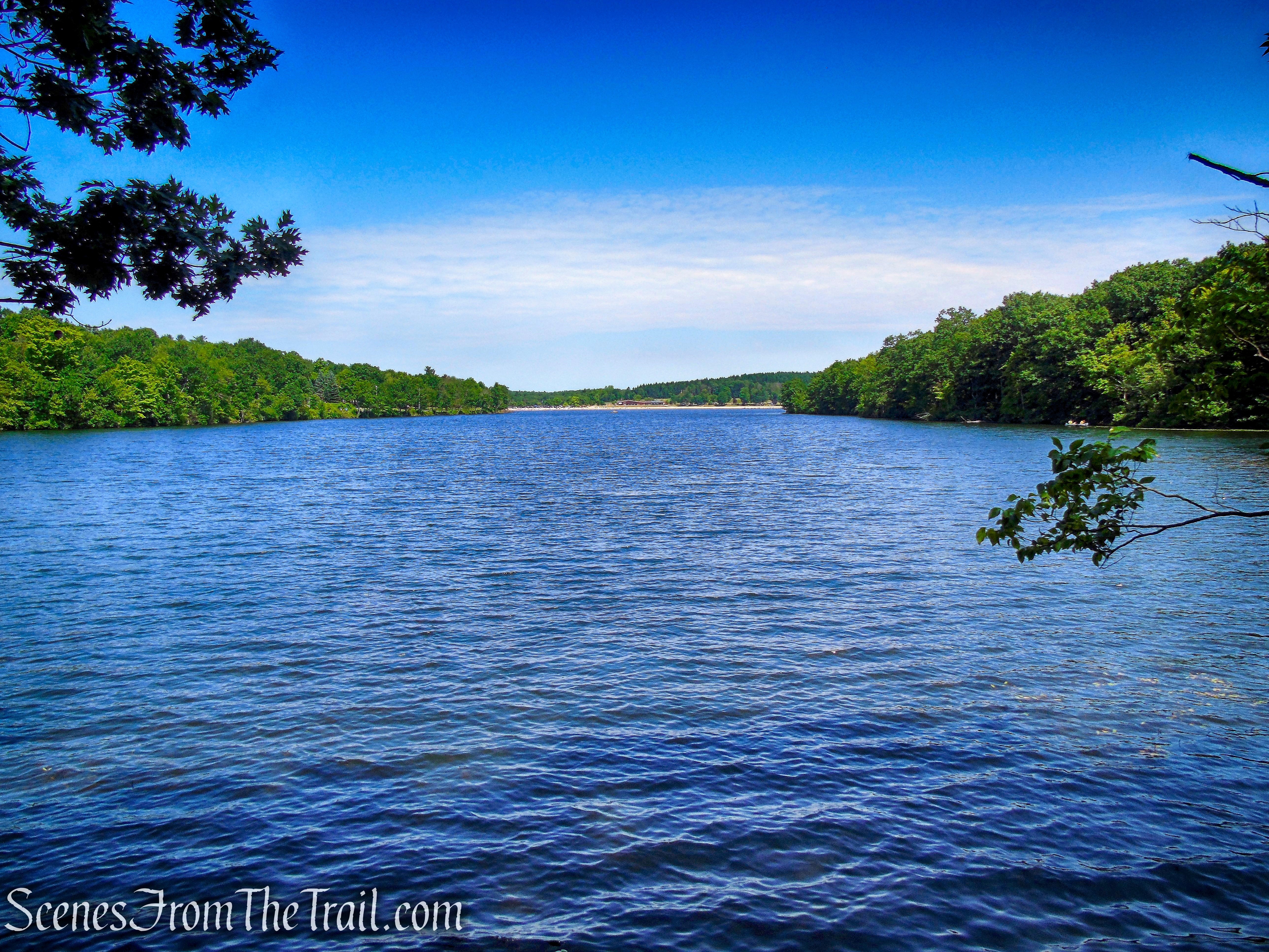 Lakeview Trail - Lake Taghkanic State Park