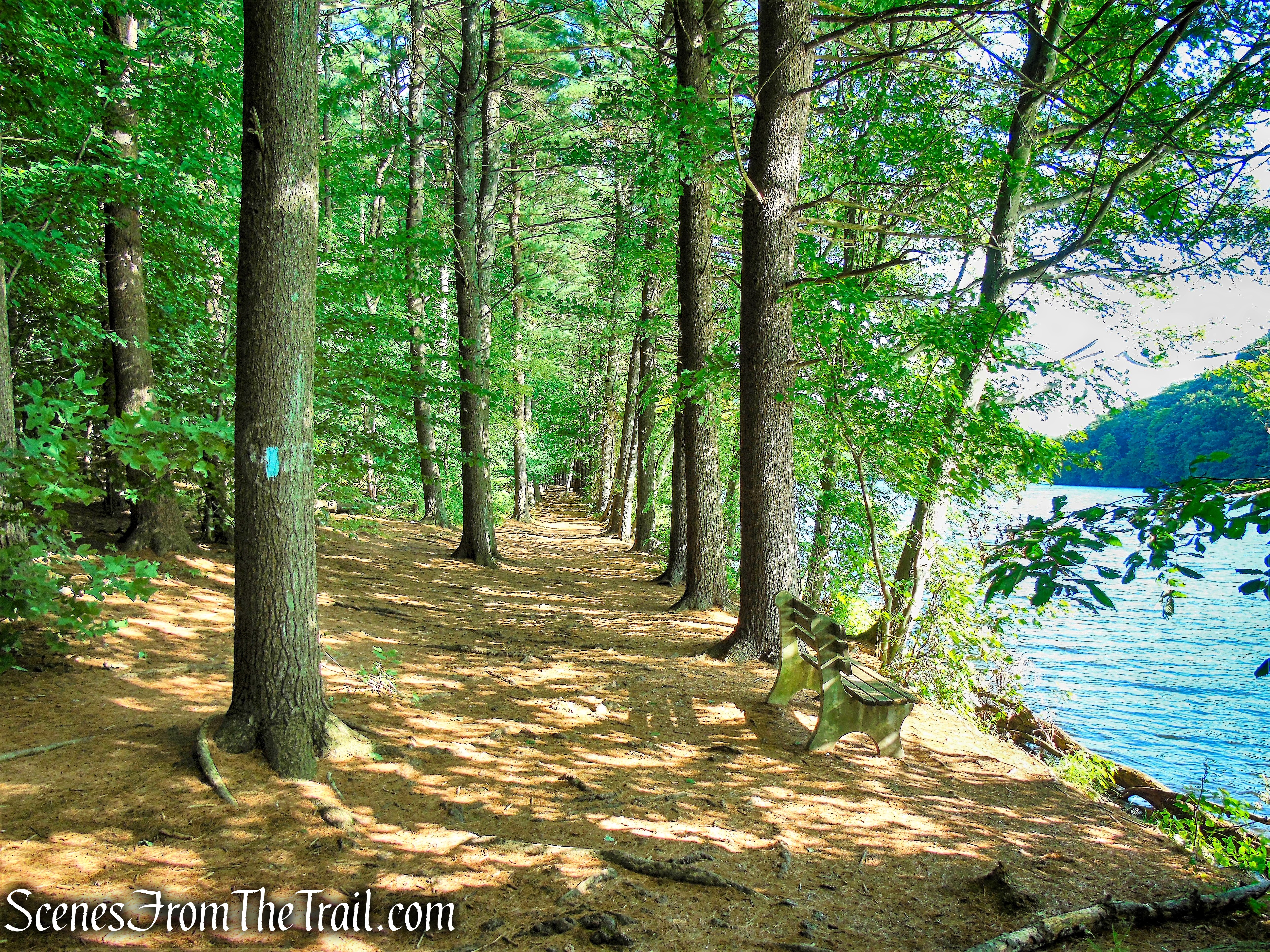 Mattabesett Trail - Giuffrida Park