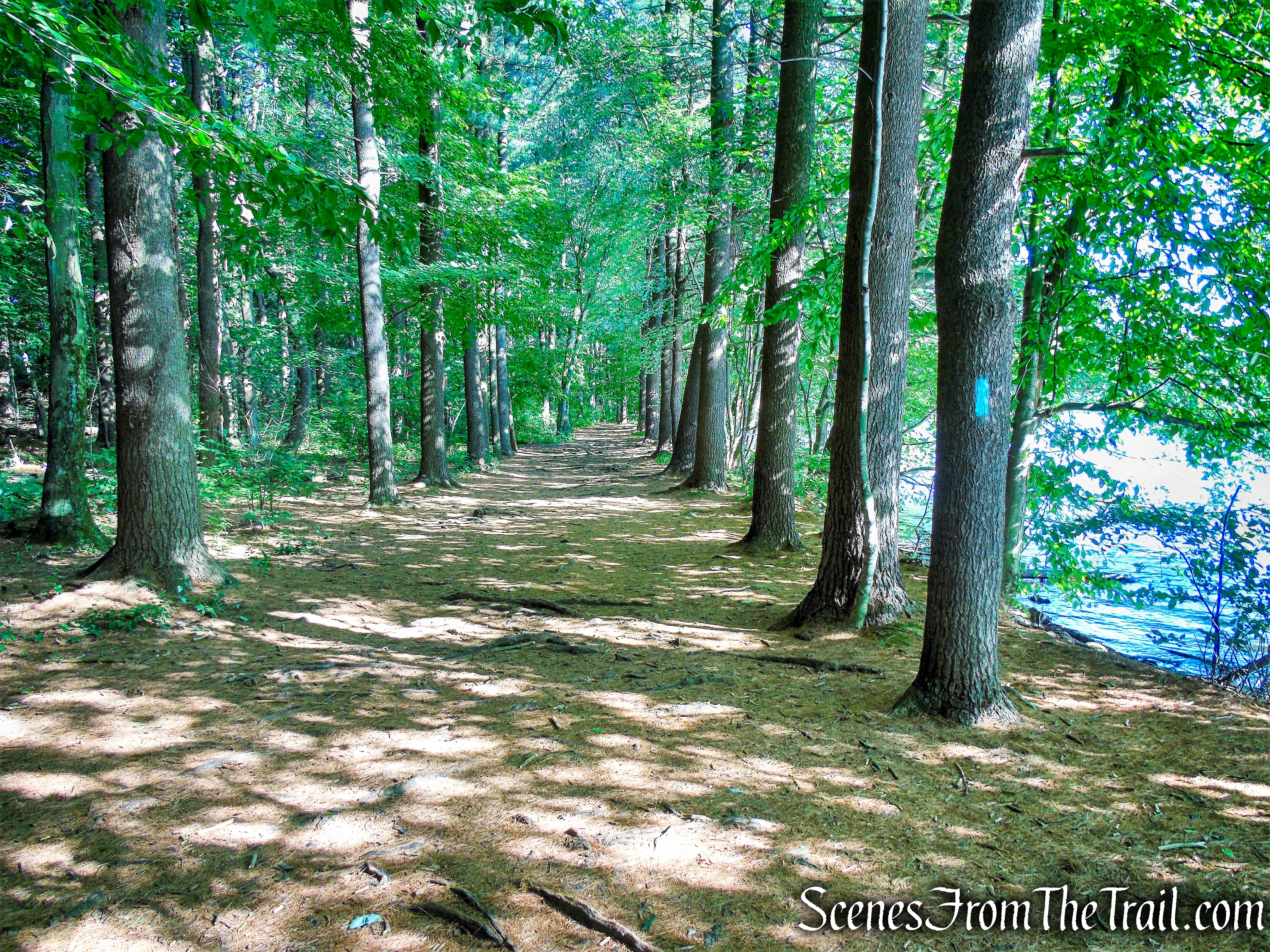 Mattabesett Trail - Giuffrida Park