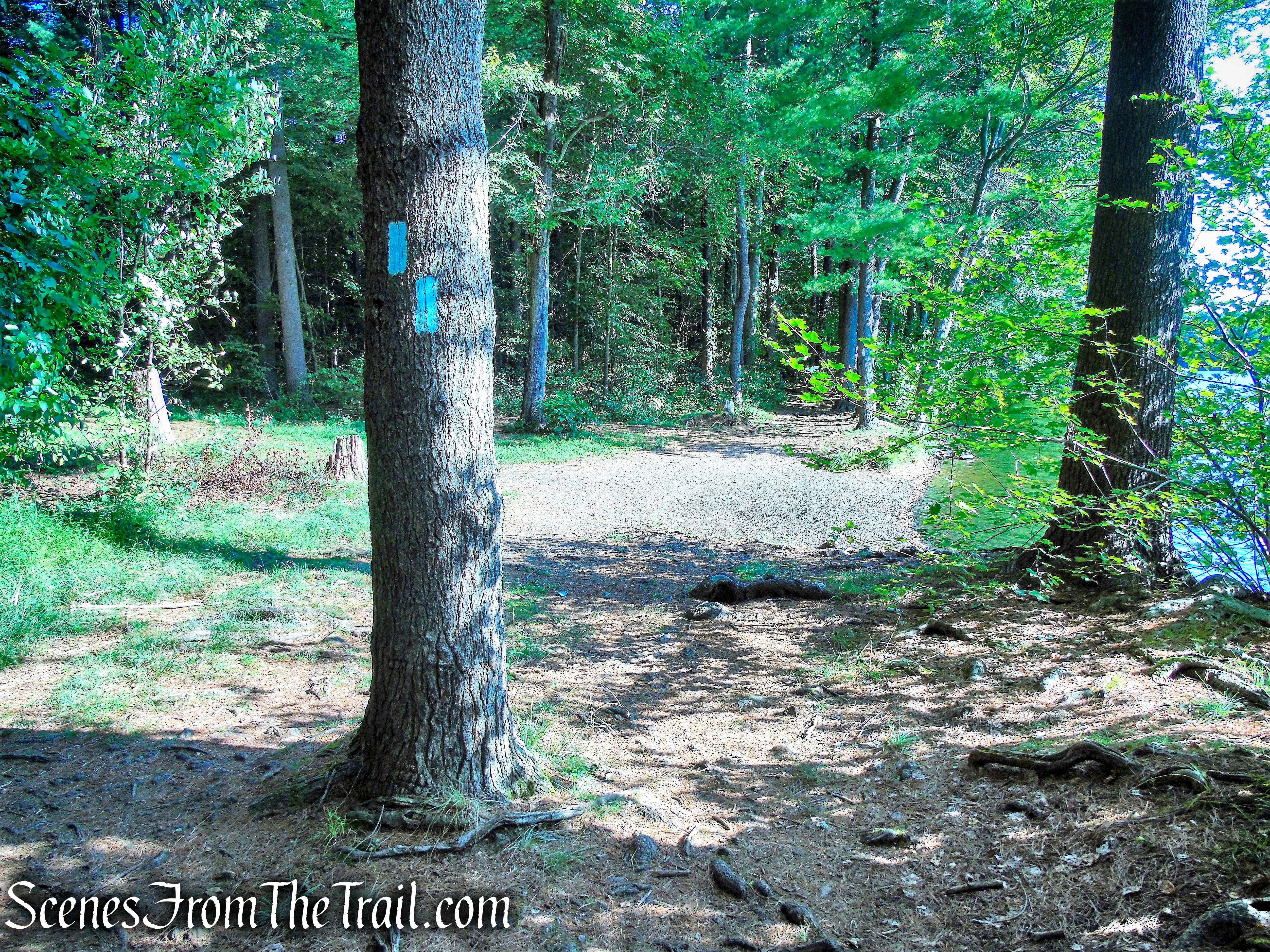 Mattabesett Trail - Giuffrida Park