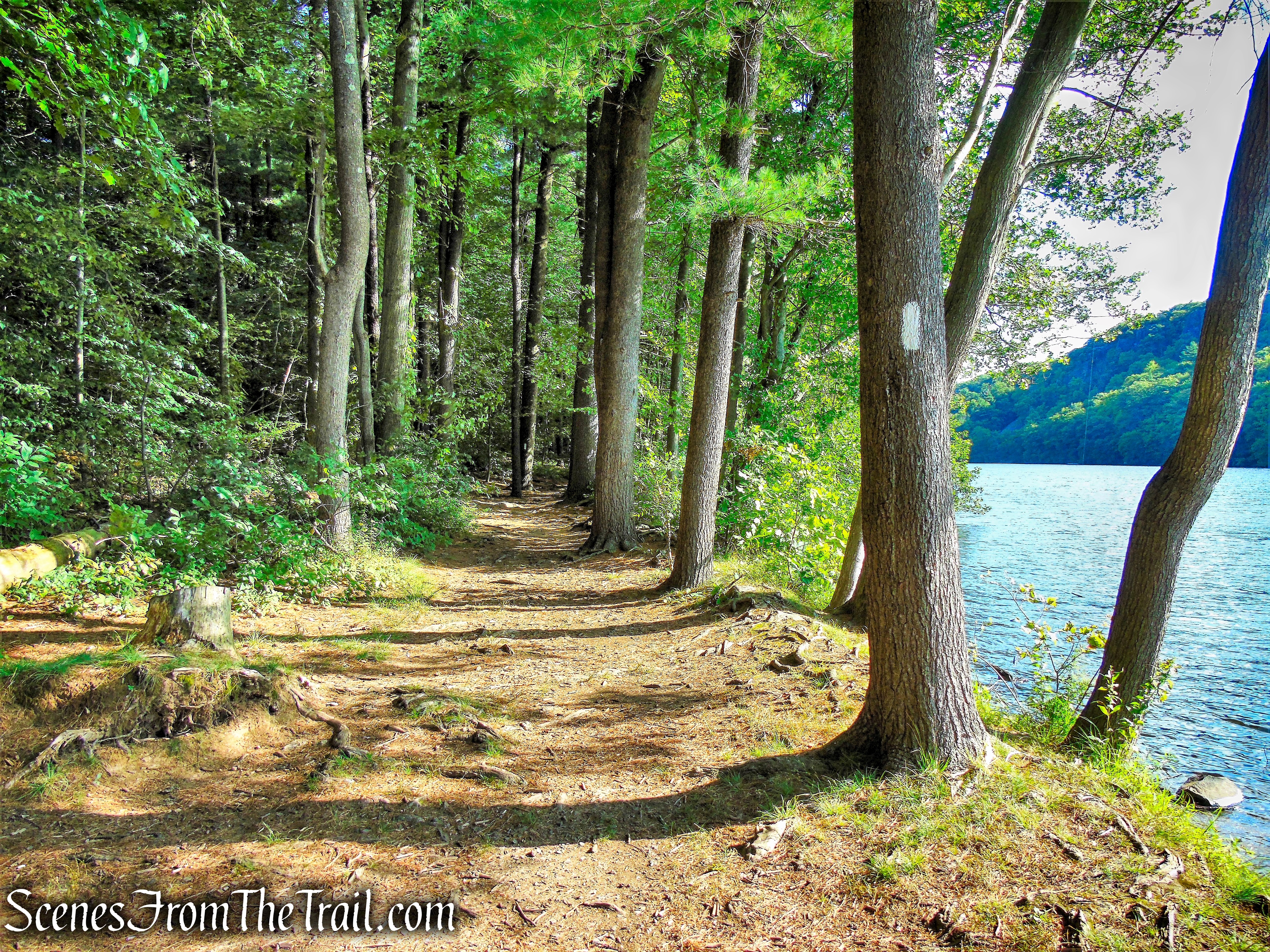 Crescent Lake Loop Trail - Giuffrida Park