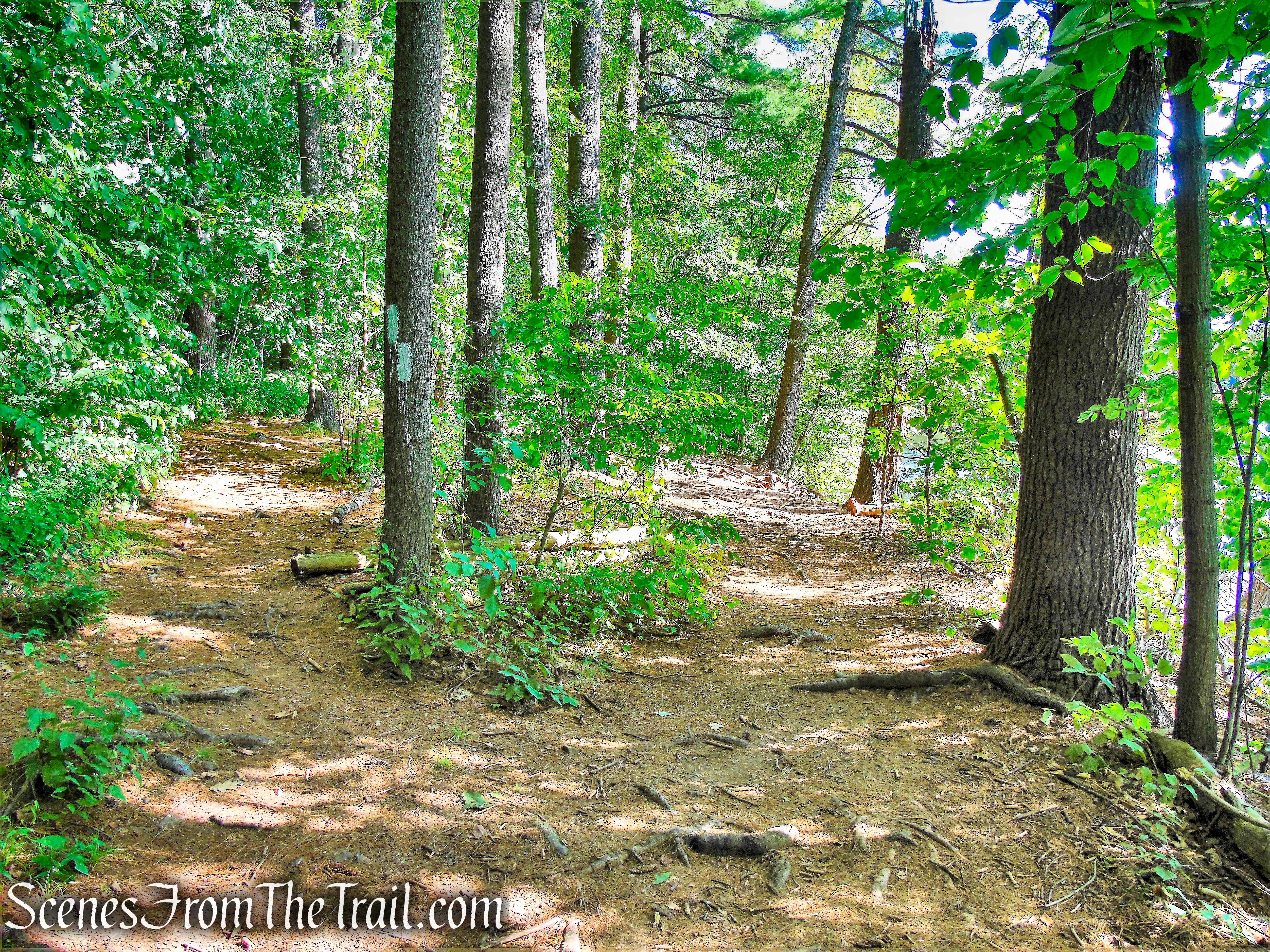Crescent Lake Loop Trail - Giuffrida Park