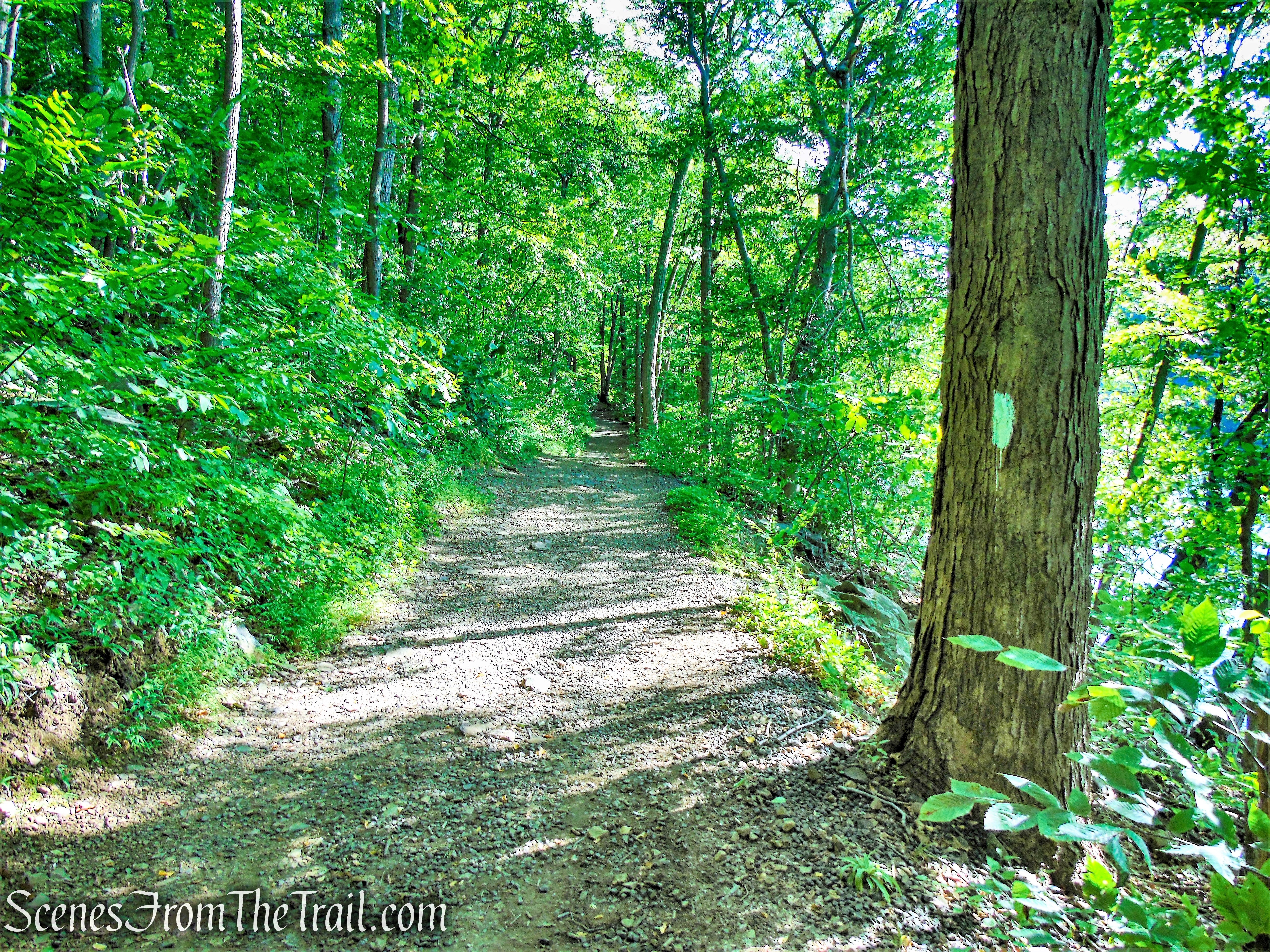 Crescent Lake Loop Trail - Giuffrida Park