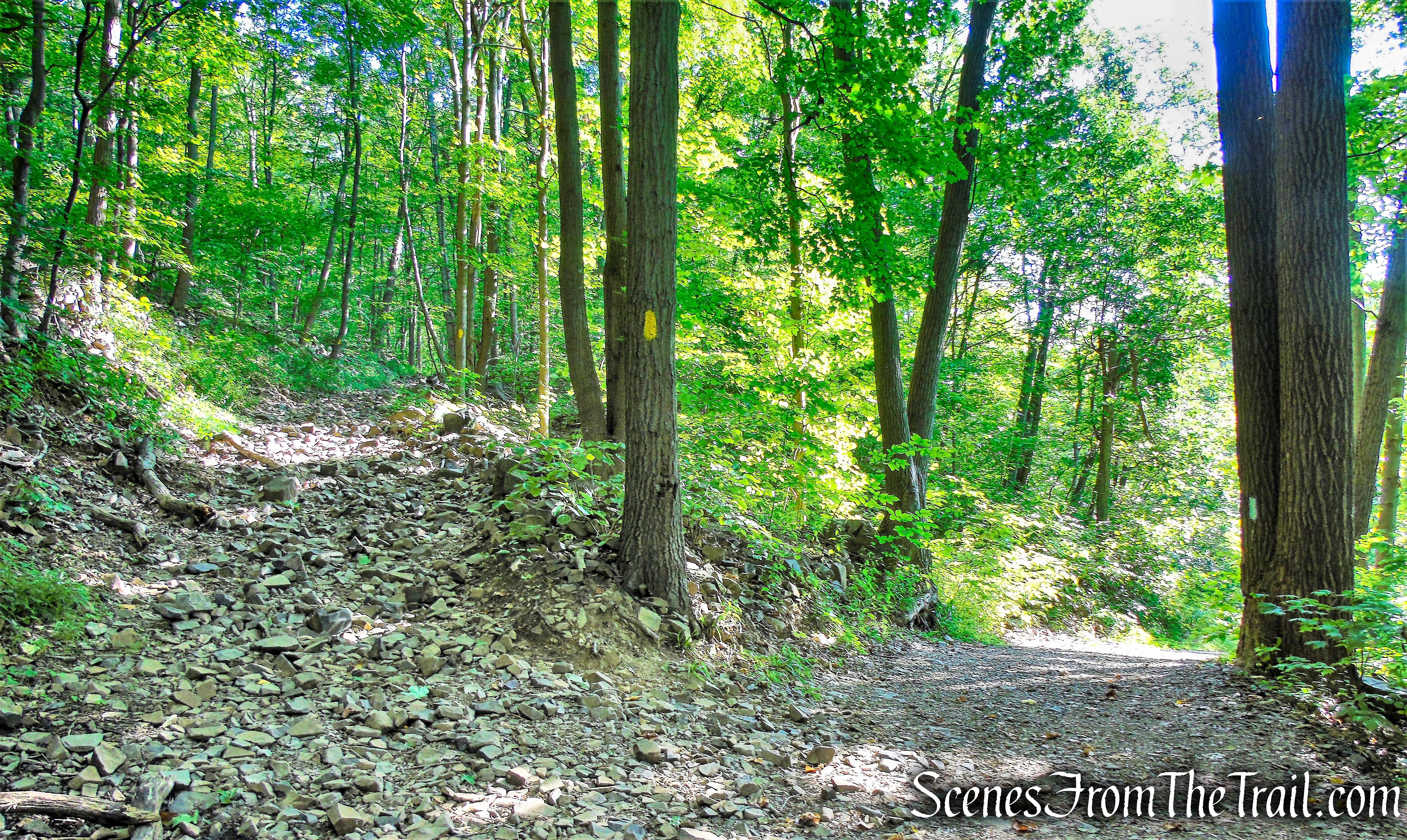 turn left on Yellow Trail