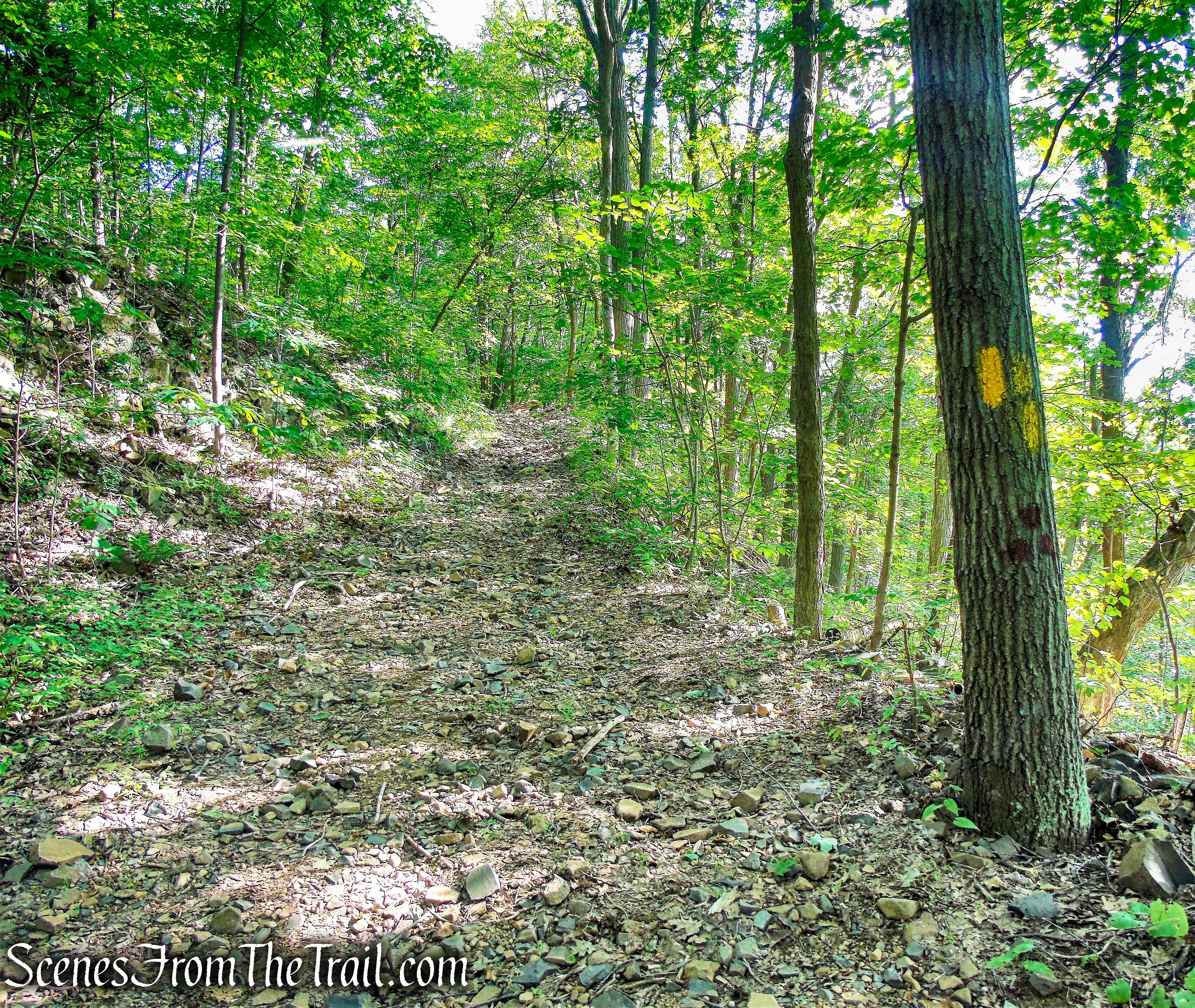 continue straight on Yellow Trail